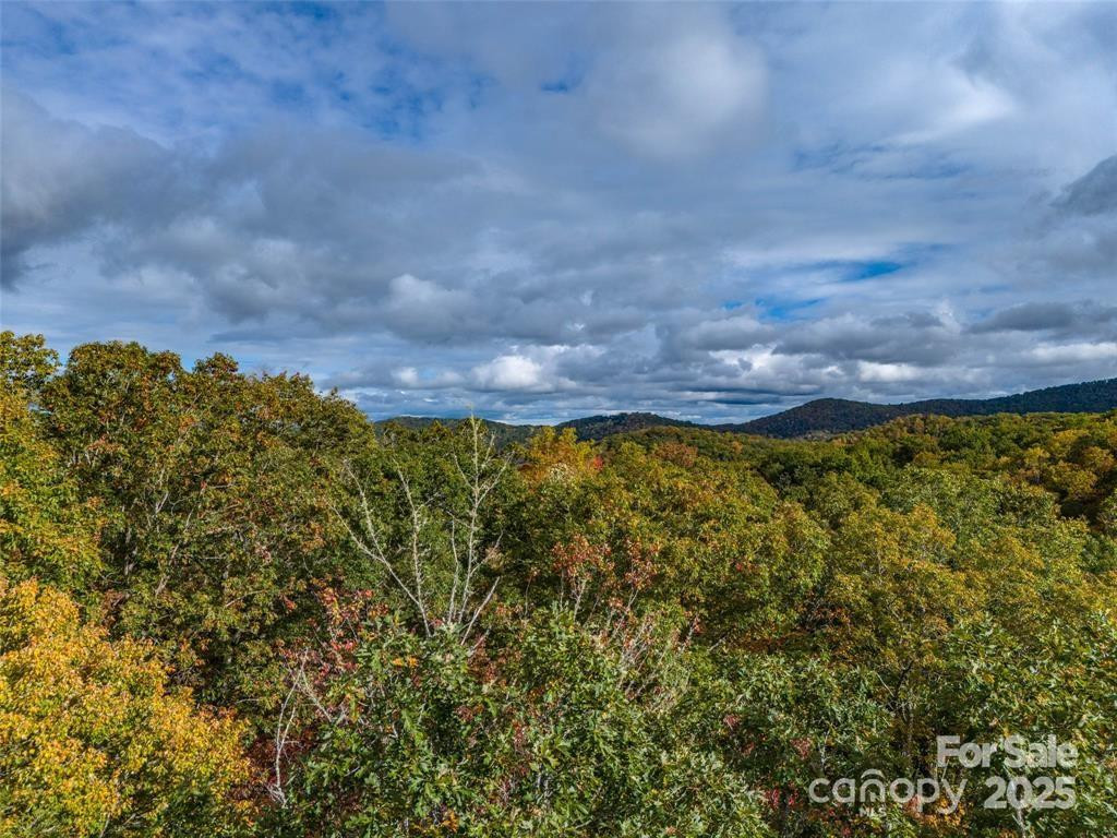 99999 Caddis Lane #91 - Photo 5