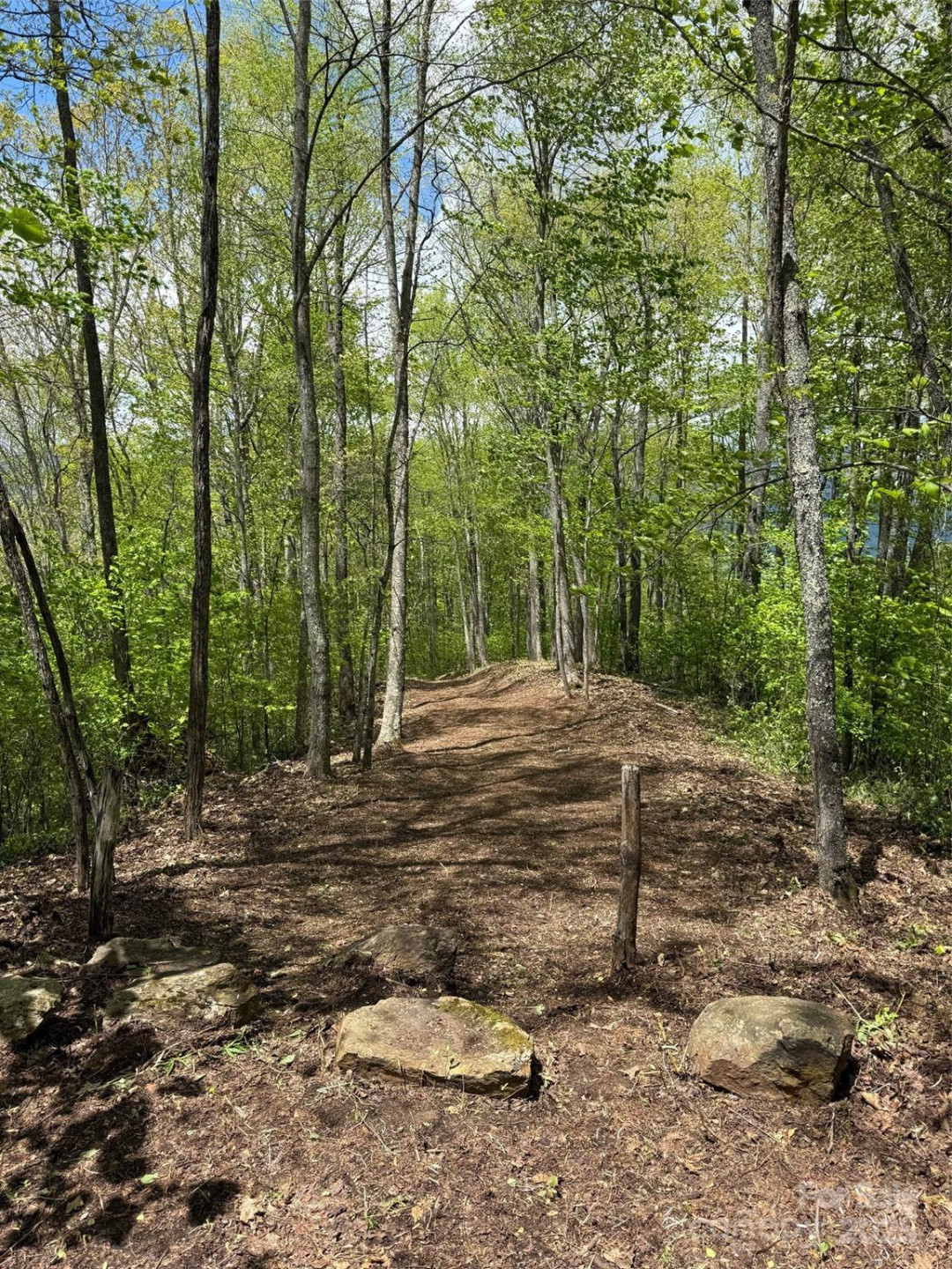 1817 Reach Road #216 - Photo 2