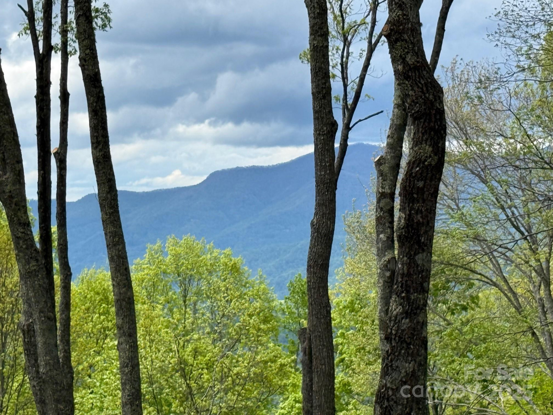 1817 Reach Road #216 - Photo 3