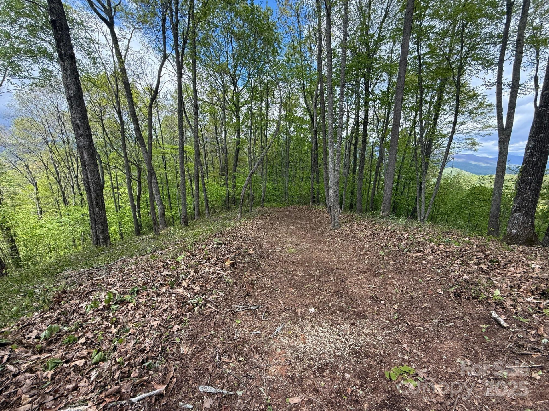 1817 Reach Road #216 - Photo 4