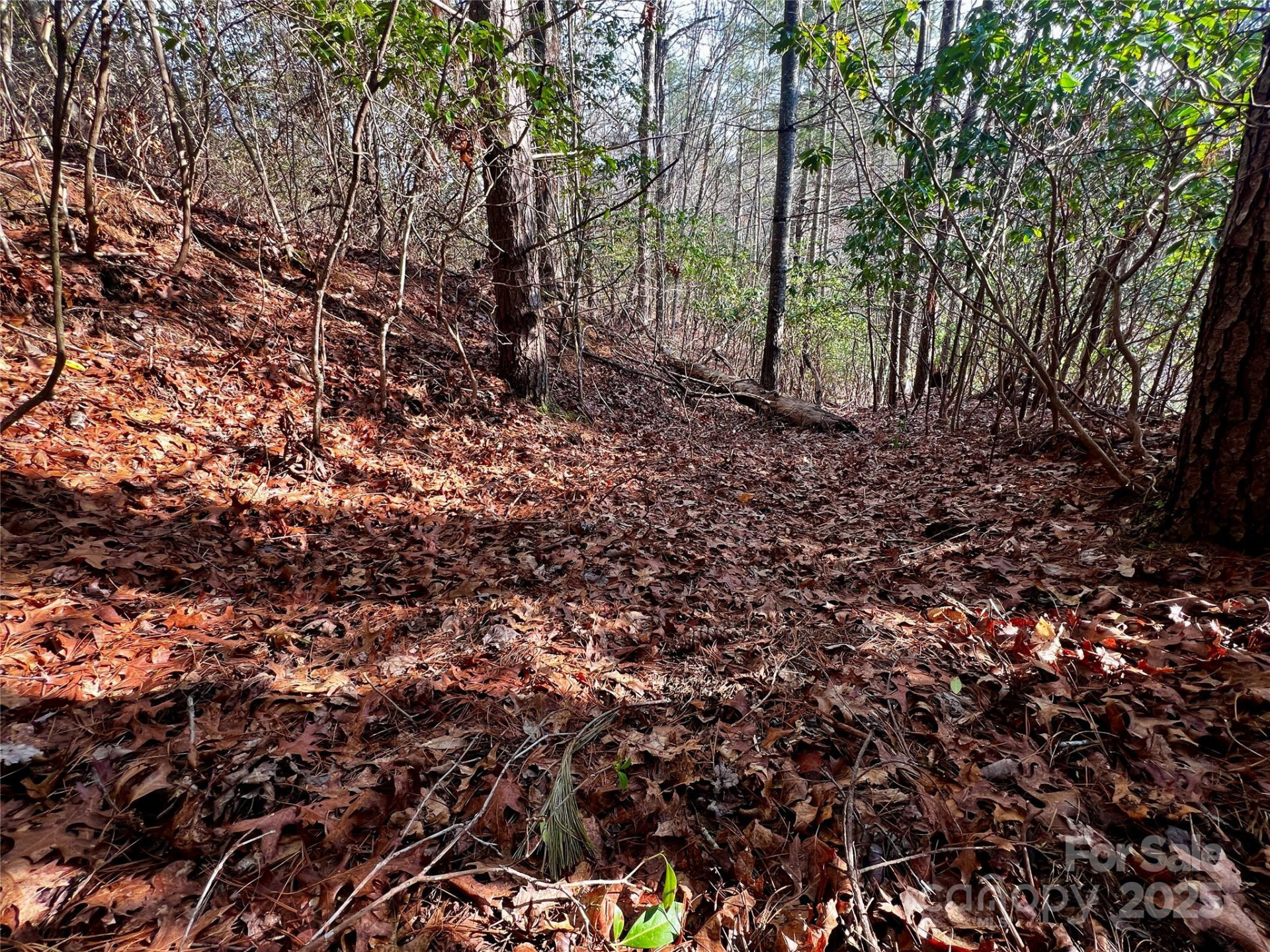 Lot 131 Thunder Road - Photo 12