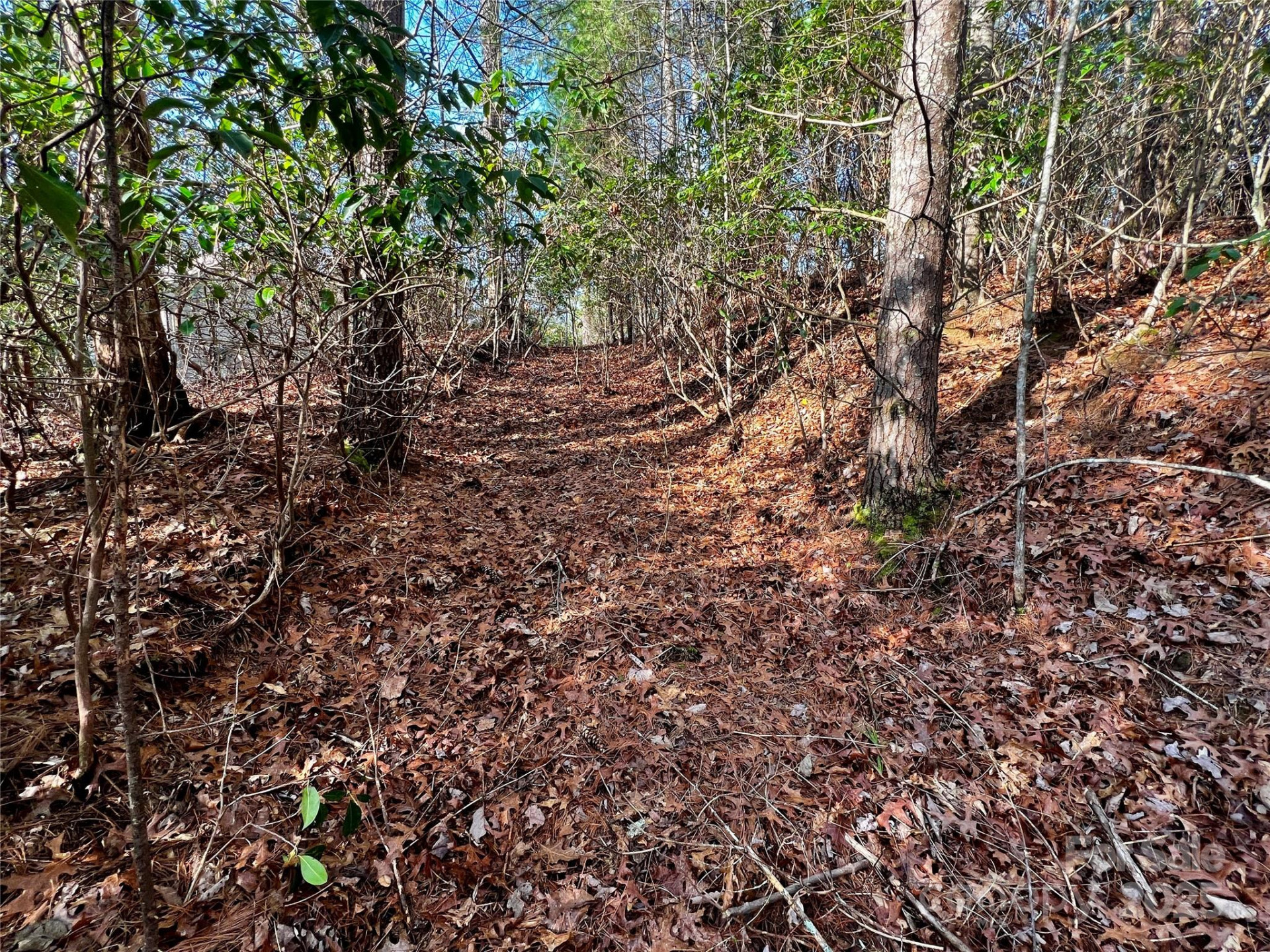 Lot 131 Thunder Road - Photo 14