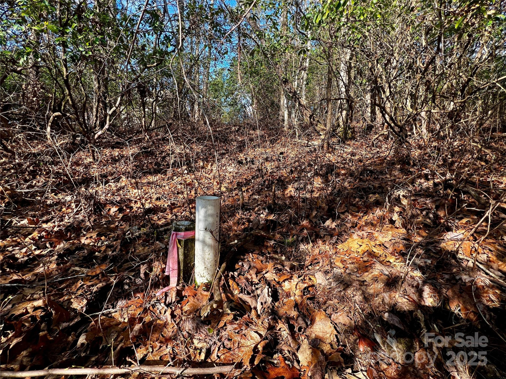 Lot 131 Thunder Road - Photo 15