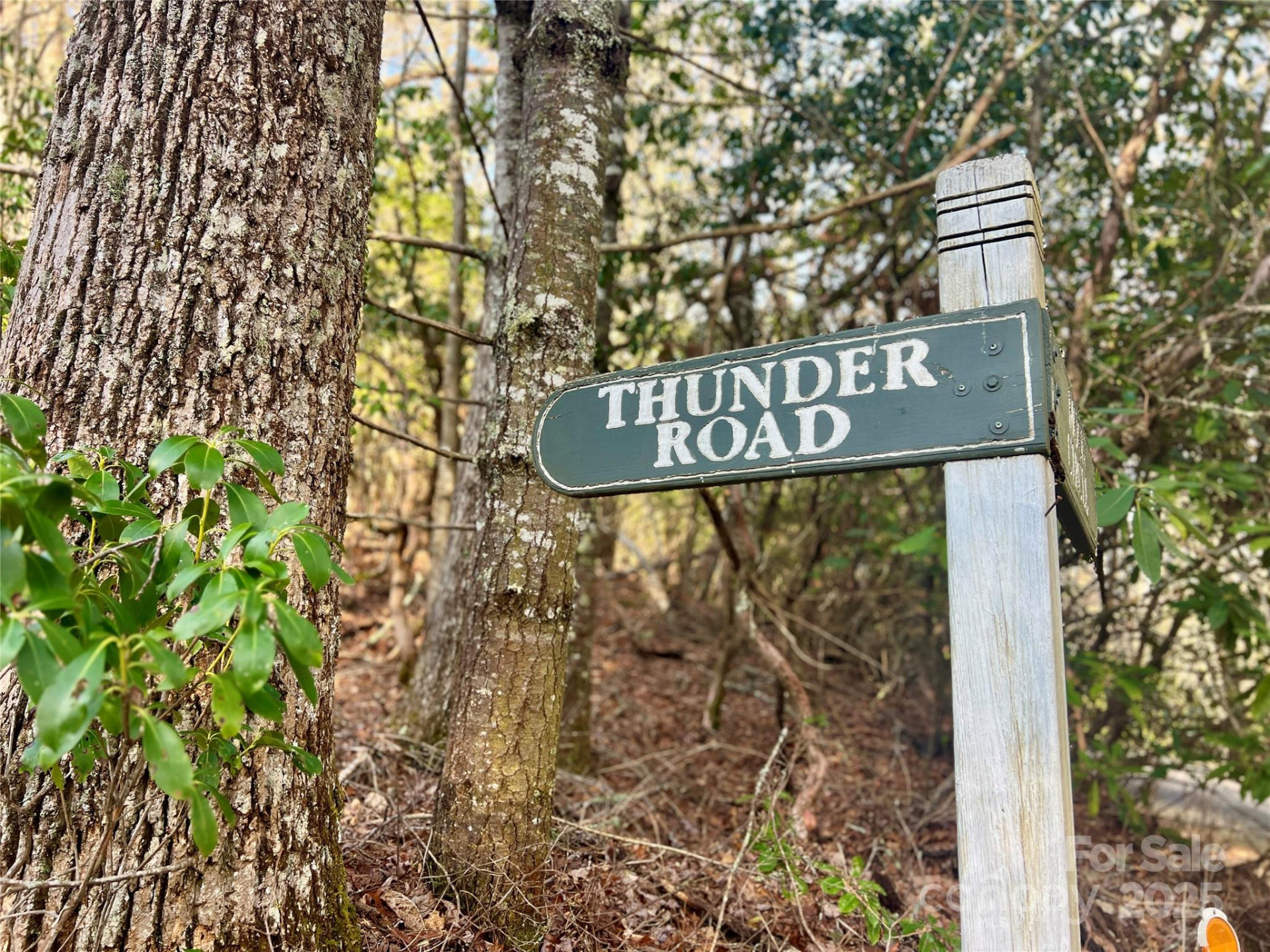 Lot 131 Thunder Road - Photo 4