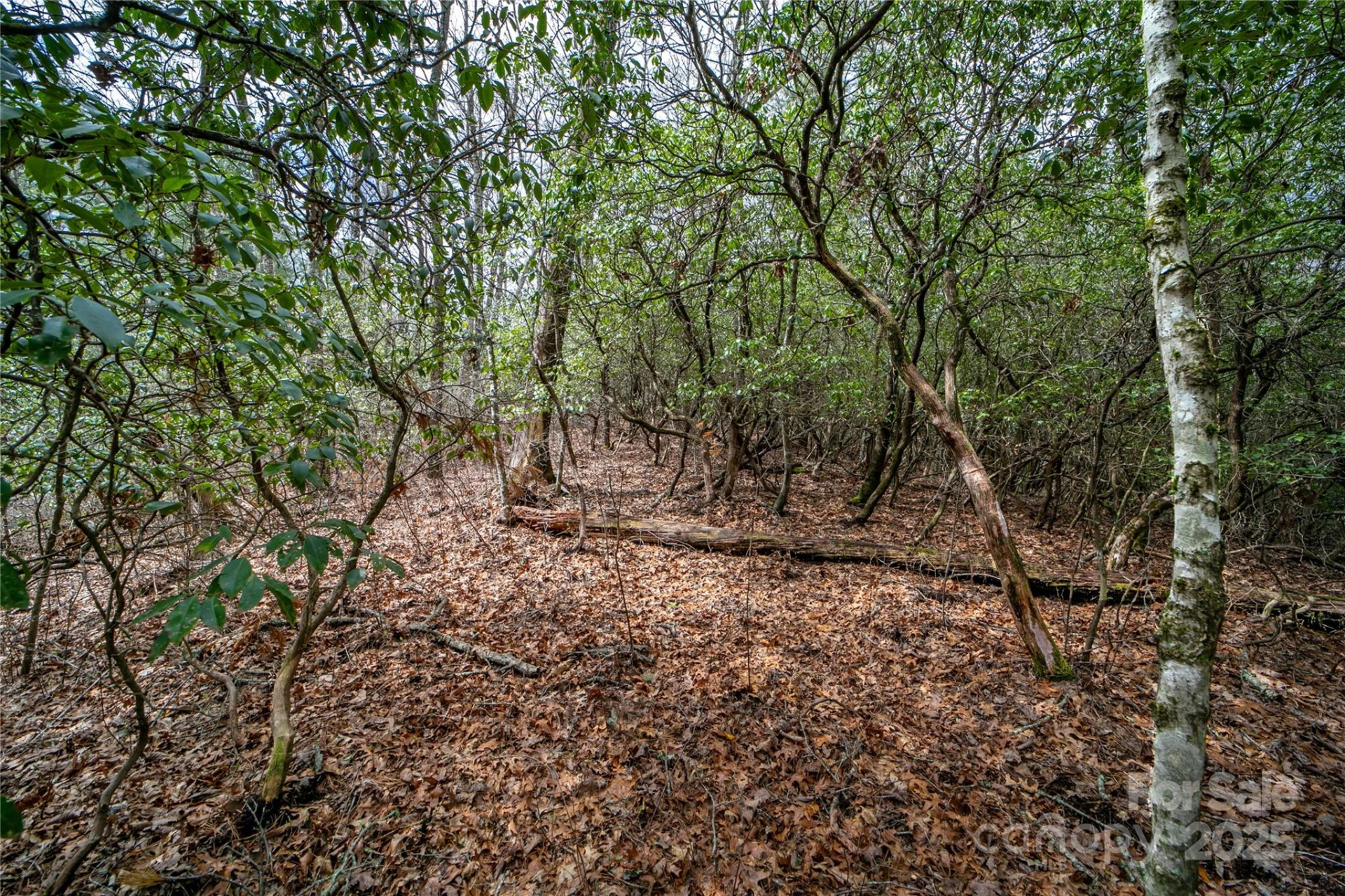 Lot 131 Thunder Road - Photo 7