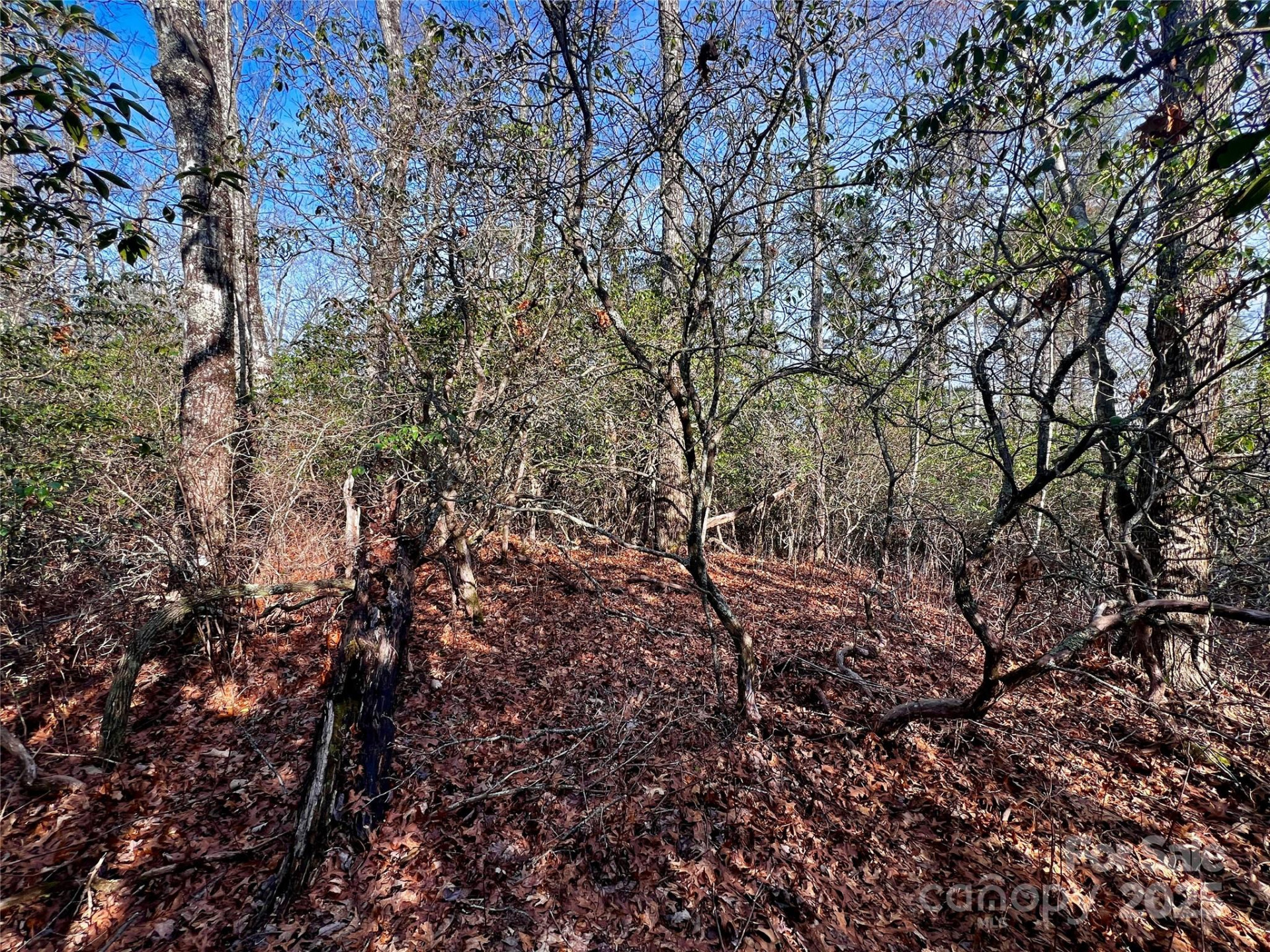 Lot 131 Thunder Road - Photo 8