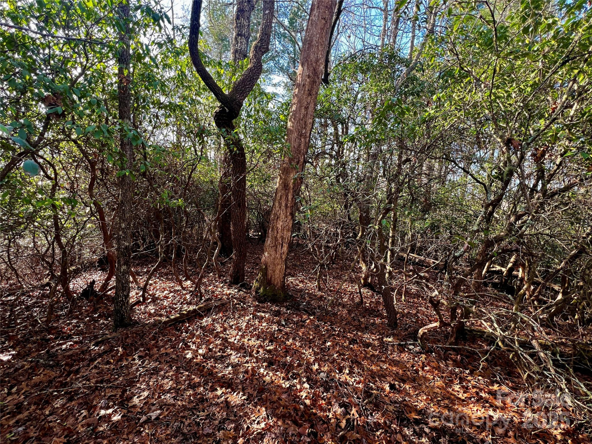 Lot 131 Thunder Road - Photo 9