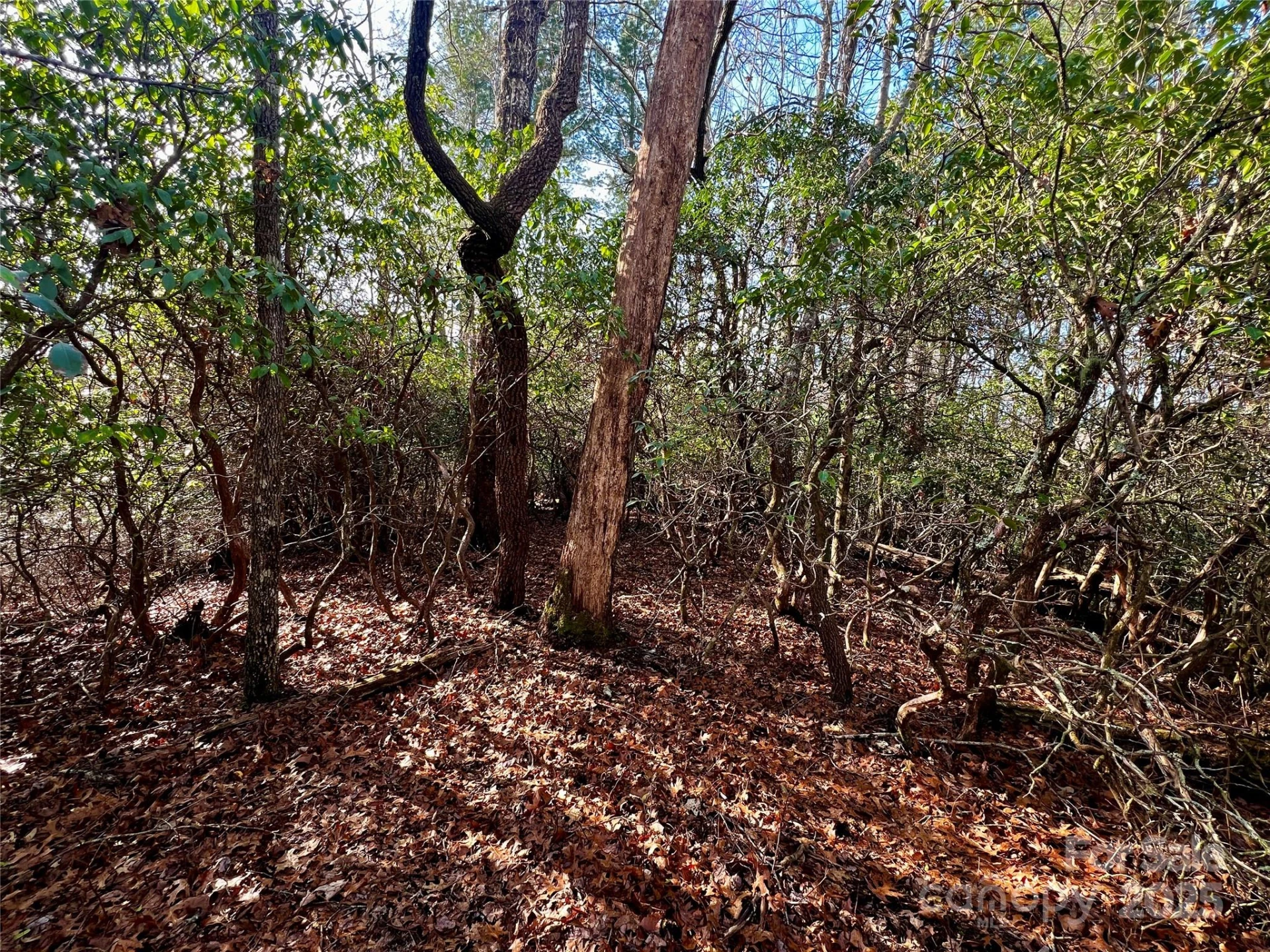 Lot 131 Thunder Road - Photo 9