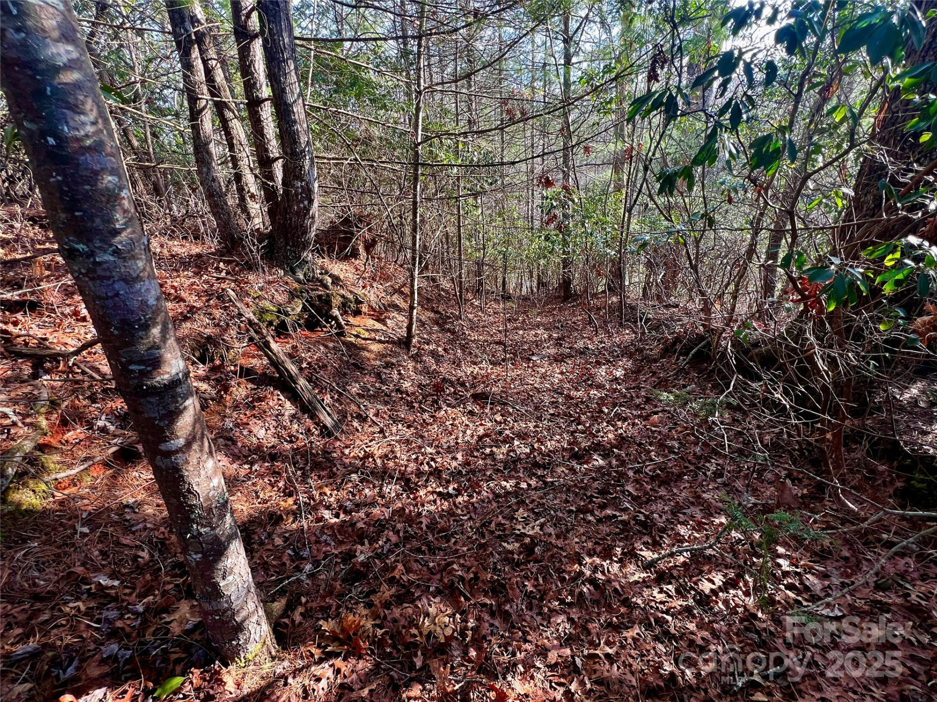 Lot 131 Thunder Road - Photo 10