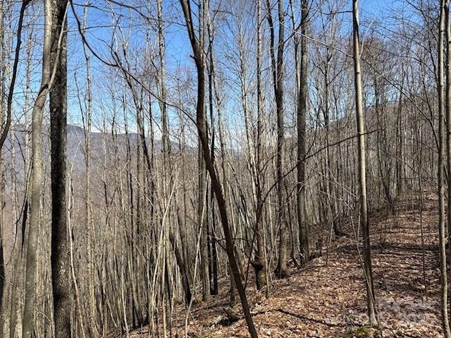 140 Boar Ridge Road #140