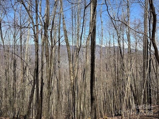 140 Boar Ridge Road #140 - Photo 2