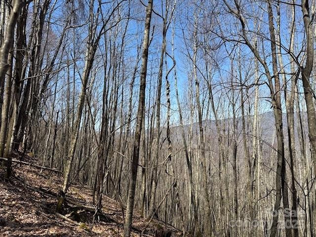 140 Boar Ridge Road #140 - Photo 3