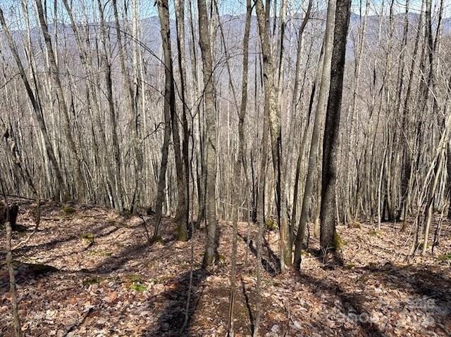 140 Boar Ridge Road #140 - Photo 4