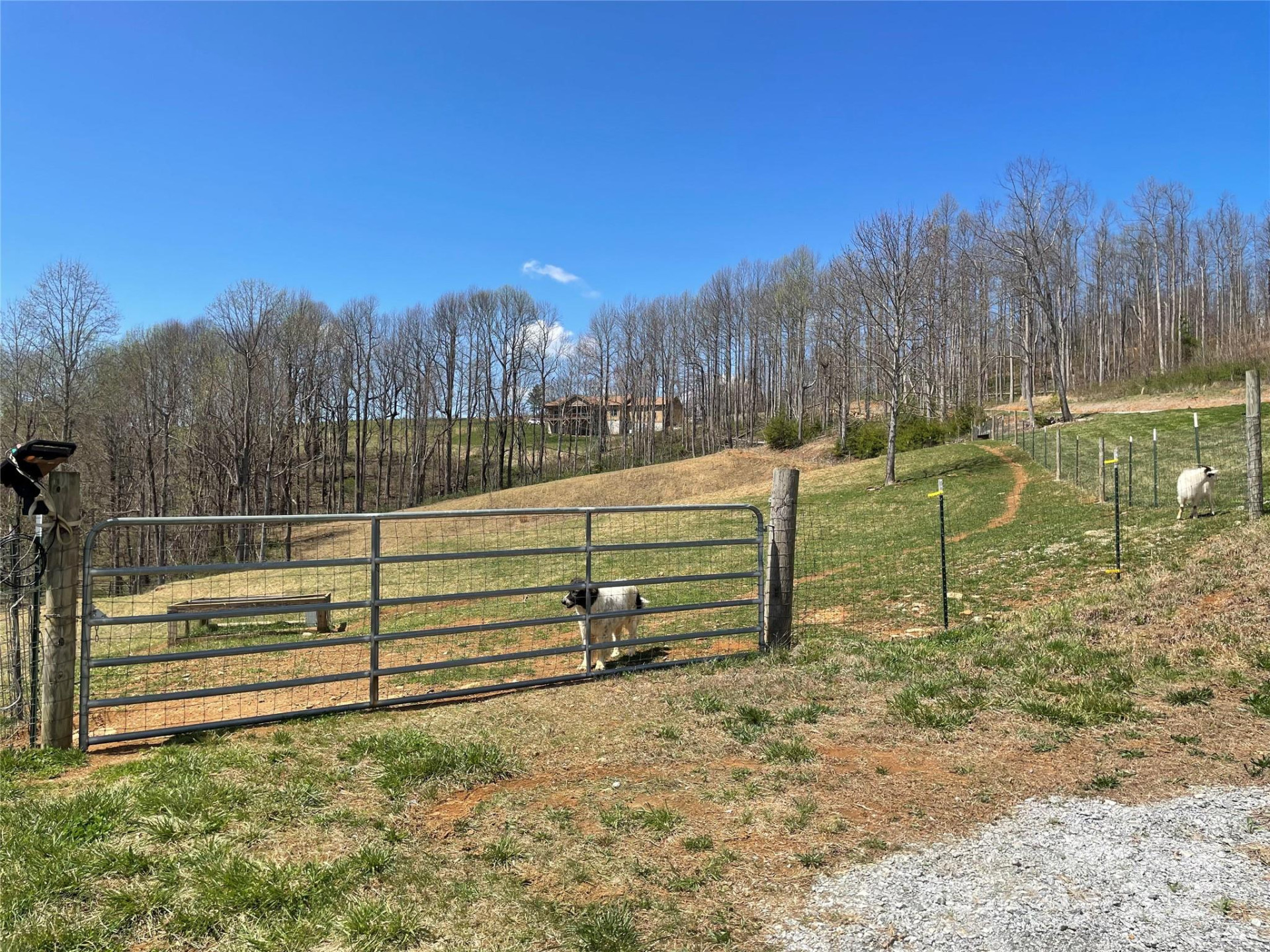 108 Blessed Valley Drive - Photo 11
