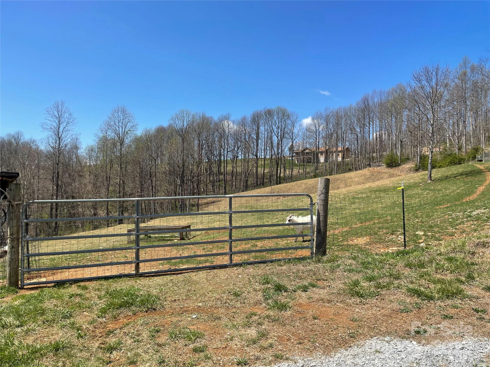 108 Blessed Valley Drive - Photo 22