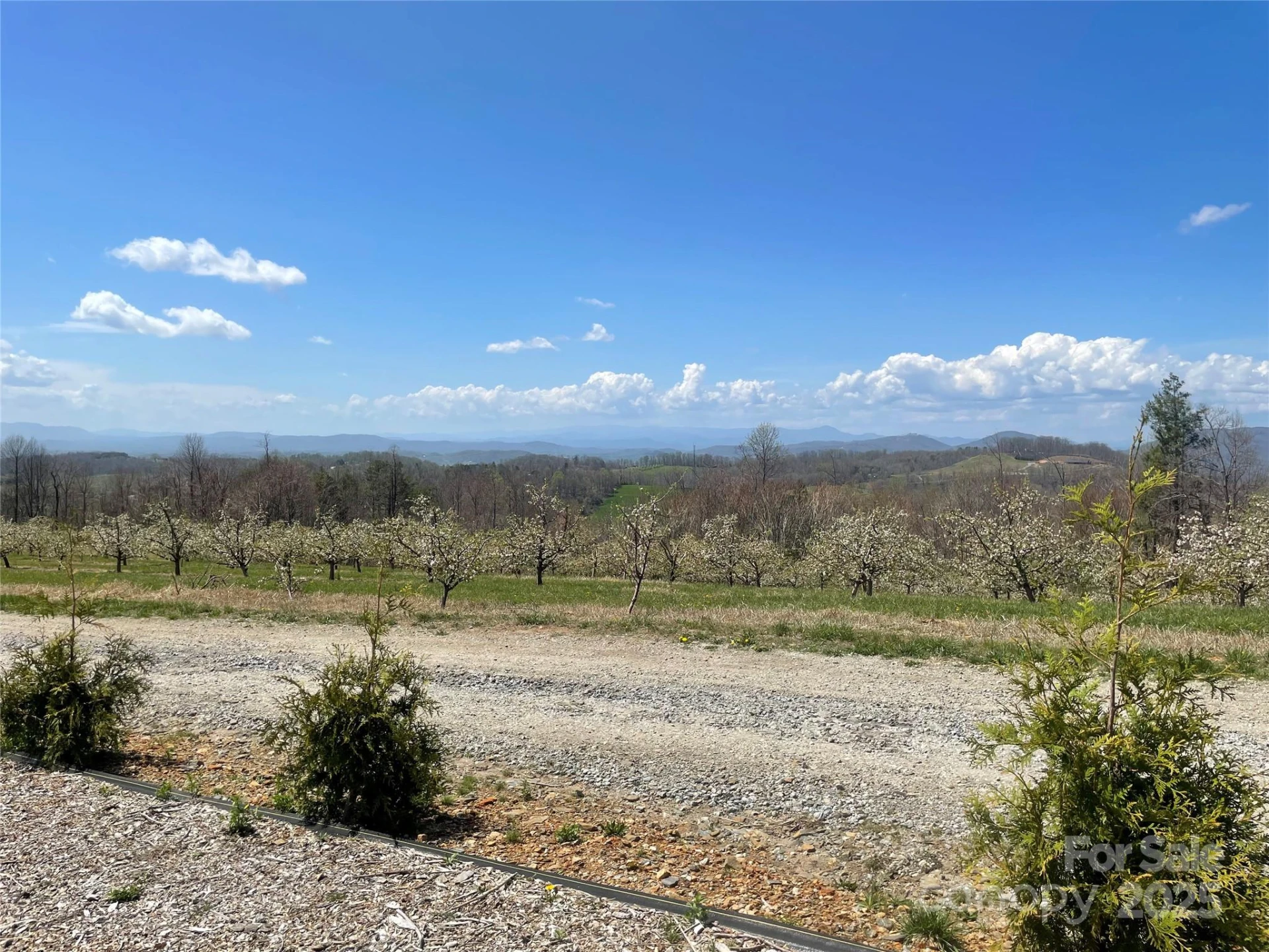 108 Blessed Valley Drive - Photo 30