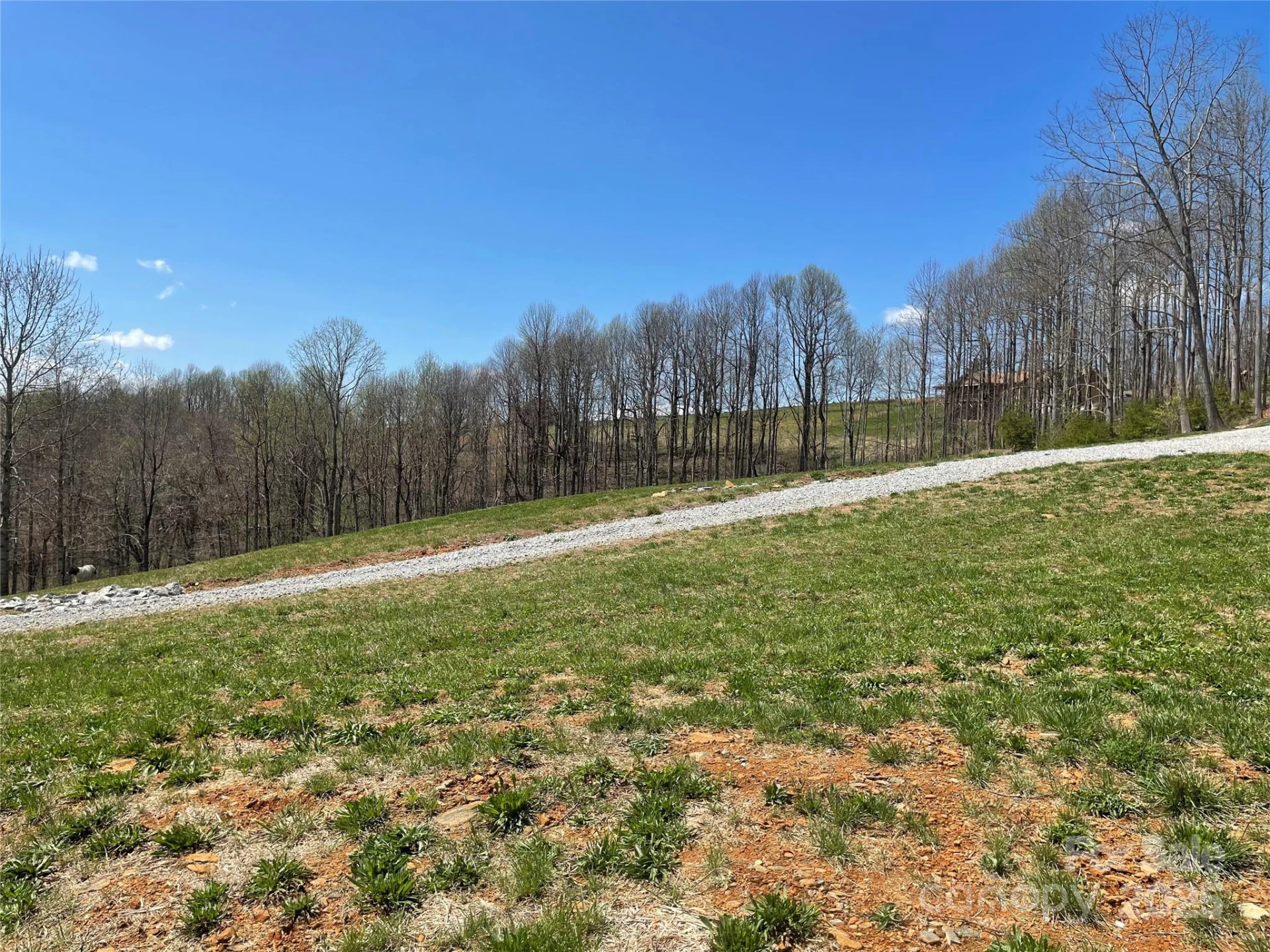 108 Blessed Valley Drive - Photo 5