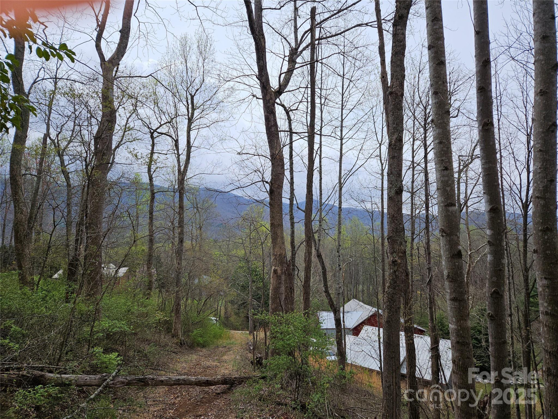 99999 Patton Hill Road #3 - Photo 2