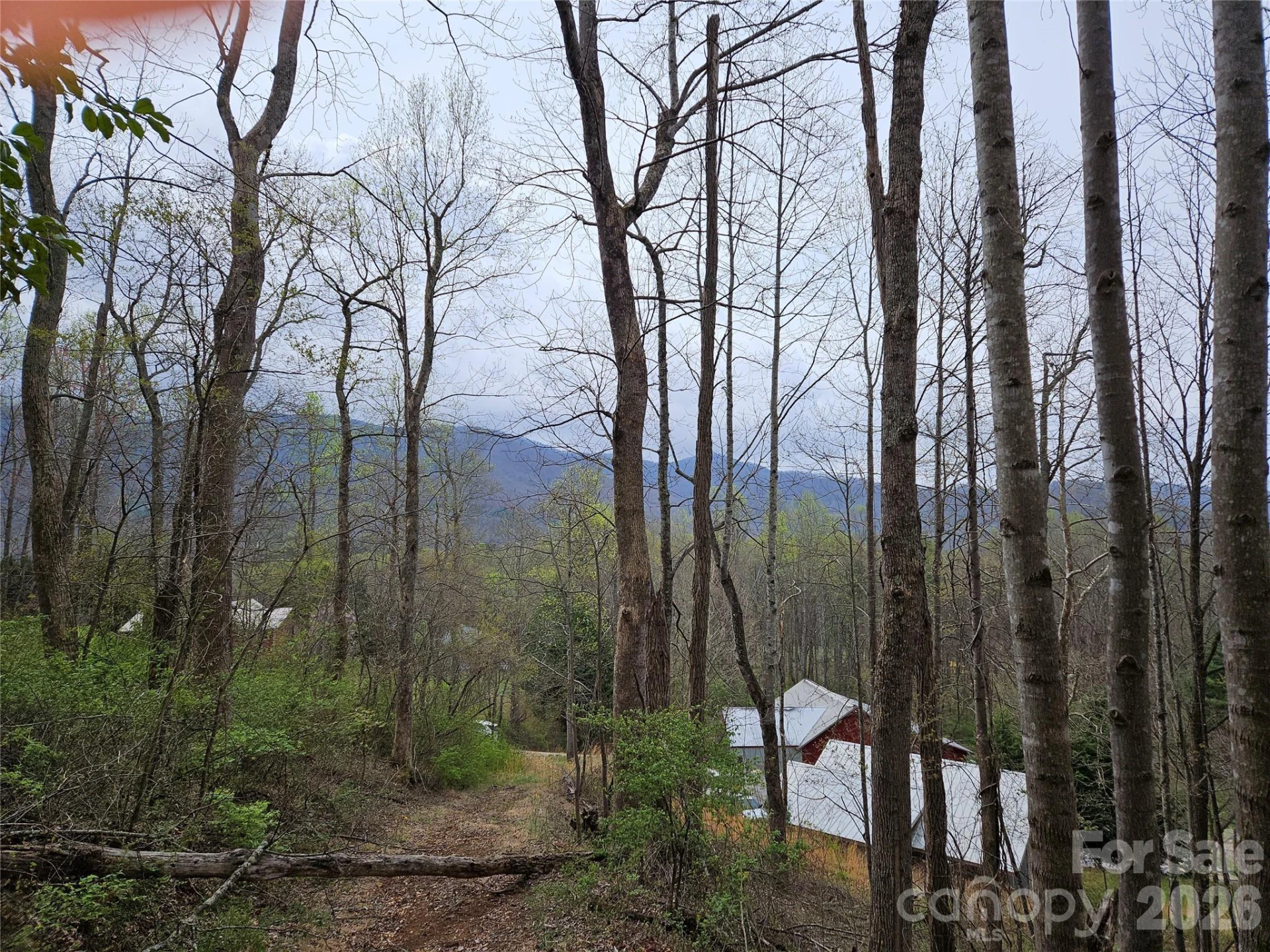 99999 Patton Hill Road #3 - Photo 3