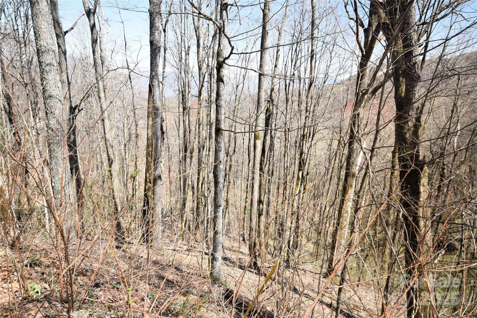 000 Big Laurel Road #A-16 & A-17 - Photo 5