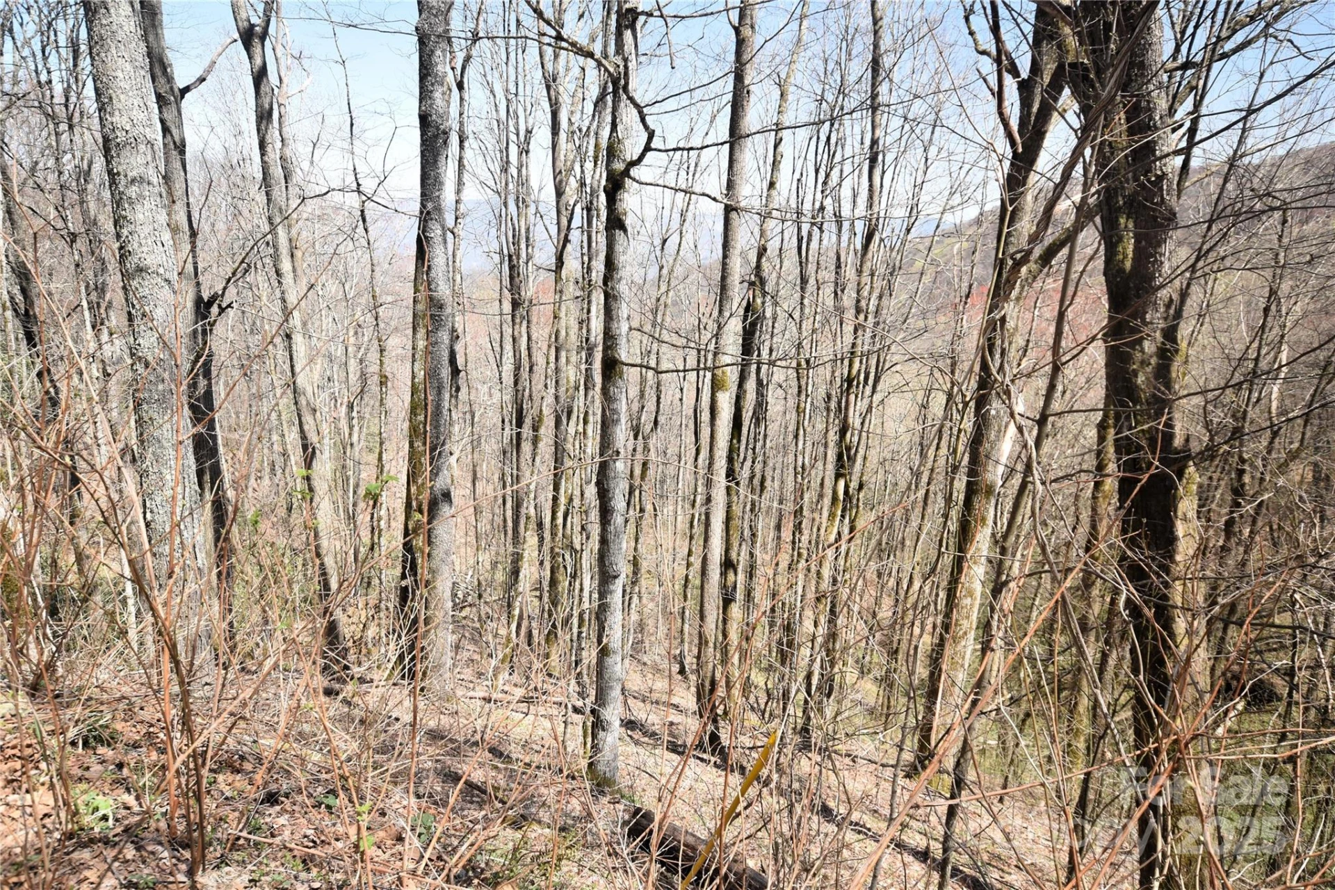 000 Big Laurel Road #A-16 & A-17 - Photo 5