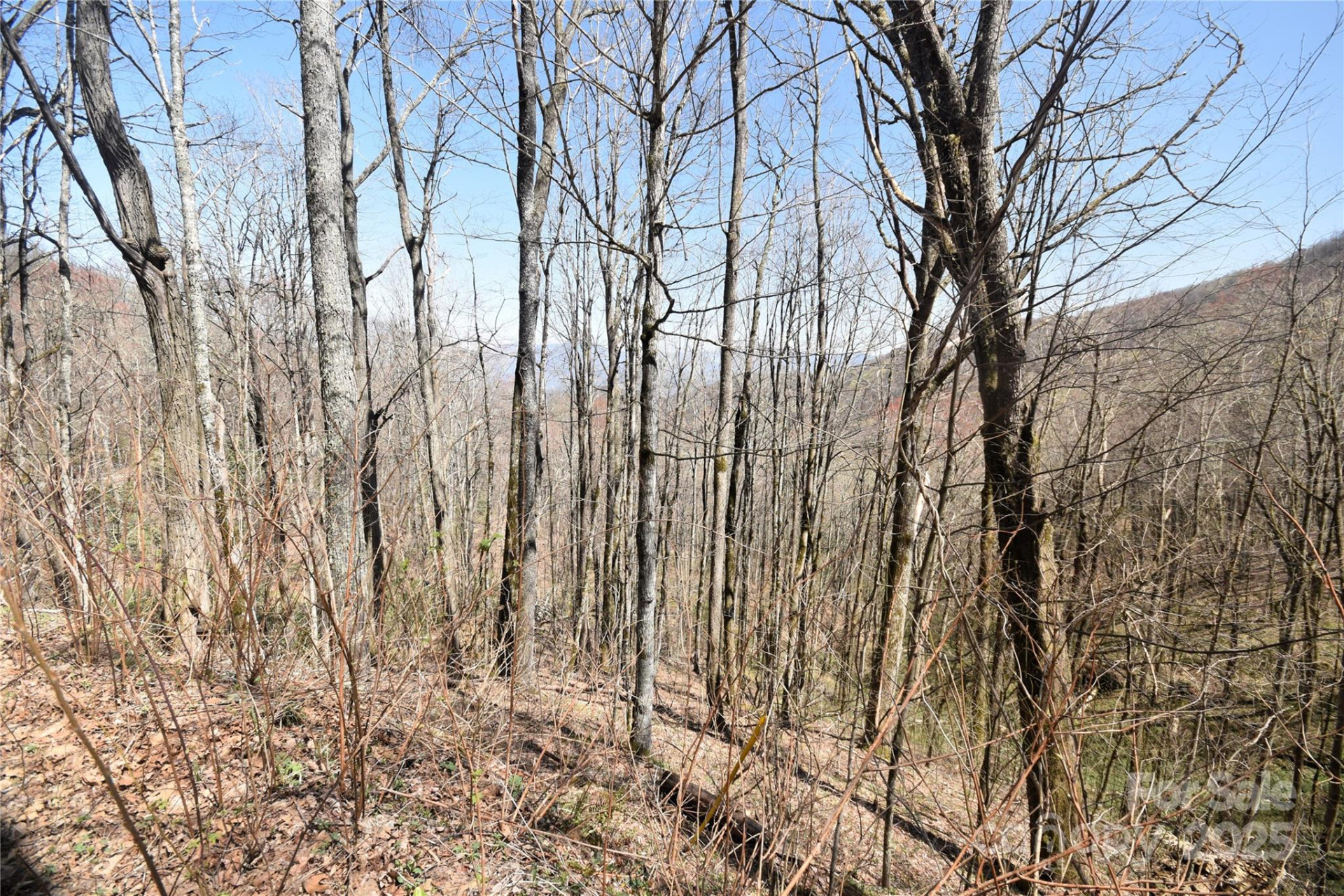 000 Big Laurel Road #A-16 & A-17 - Photo 6