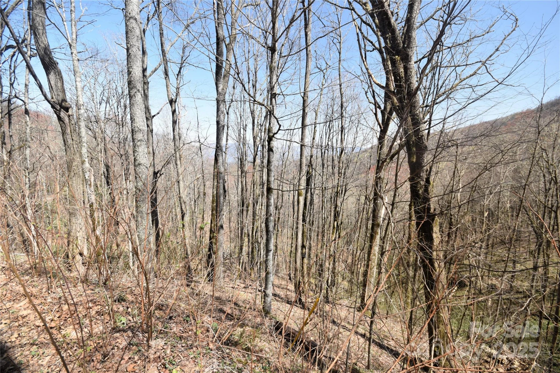 000 Big Laurel Road #A-16 & A-17 - Photo 6