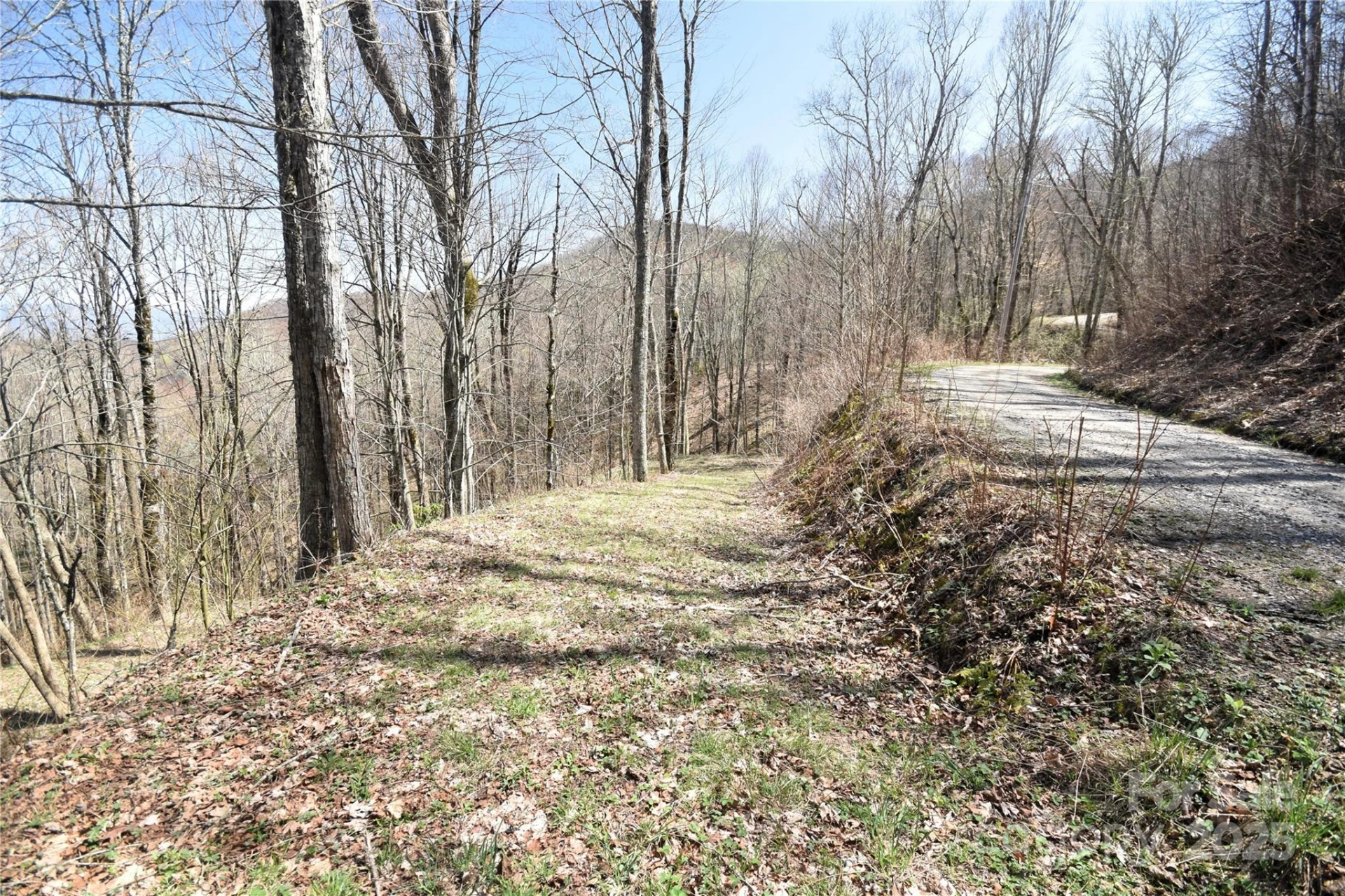 000 Big Laurel Road #A-16 & A-17 - Photo 7