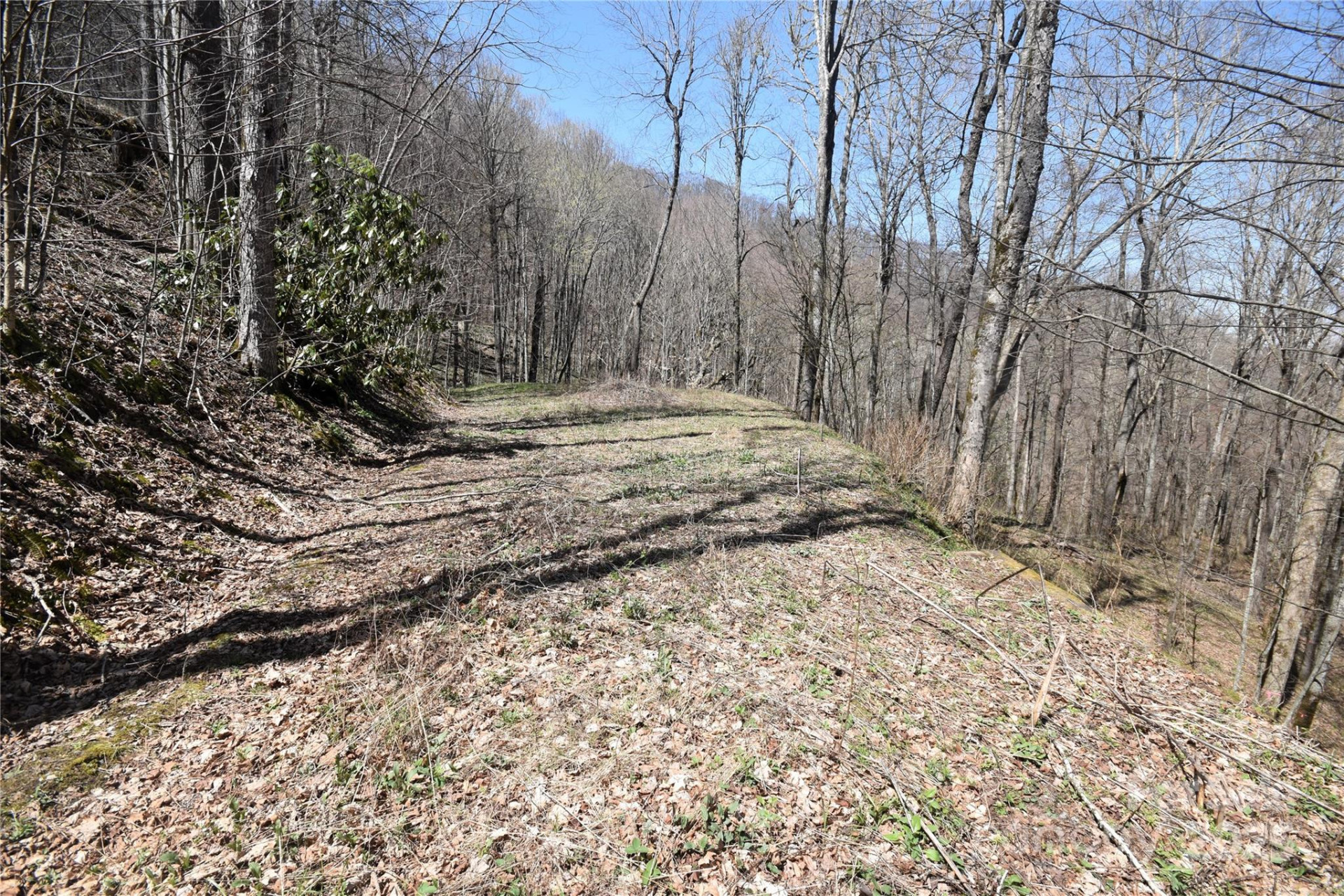 000 Big Laurel Road #A-16 & A-17 - Photo 8