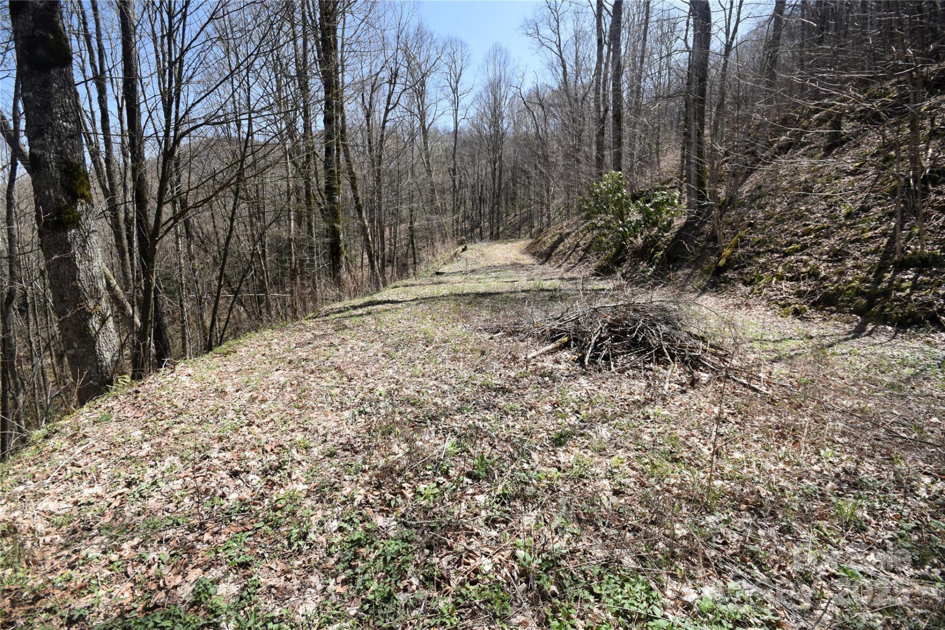 000 Big Laurel Road #A-16 & A-17 - Photo 9