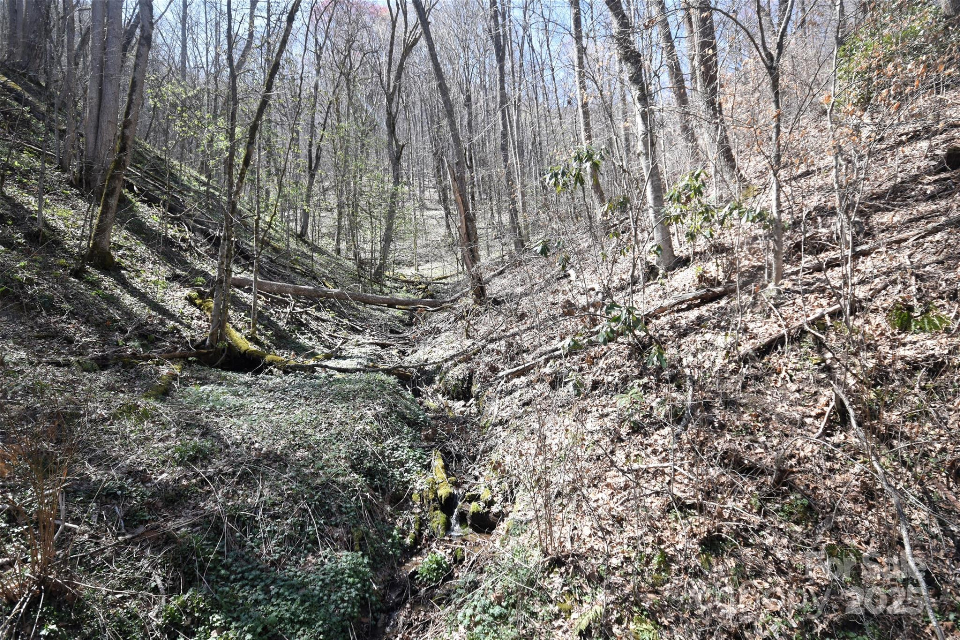 000 Big Laurel Road #A-16 & A-17 - Photo 10