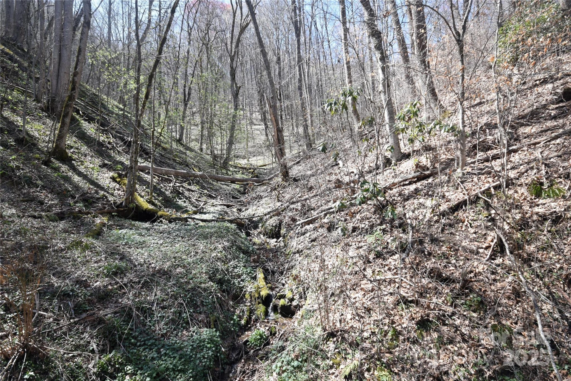 000 Big Laurel Road #A-16 & A-17 - Photo 10