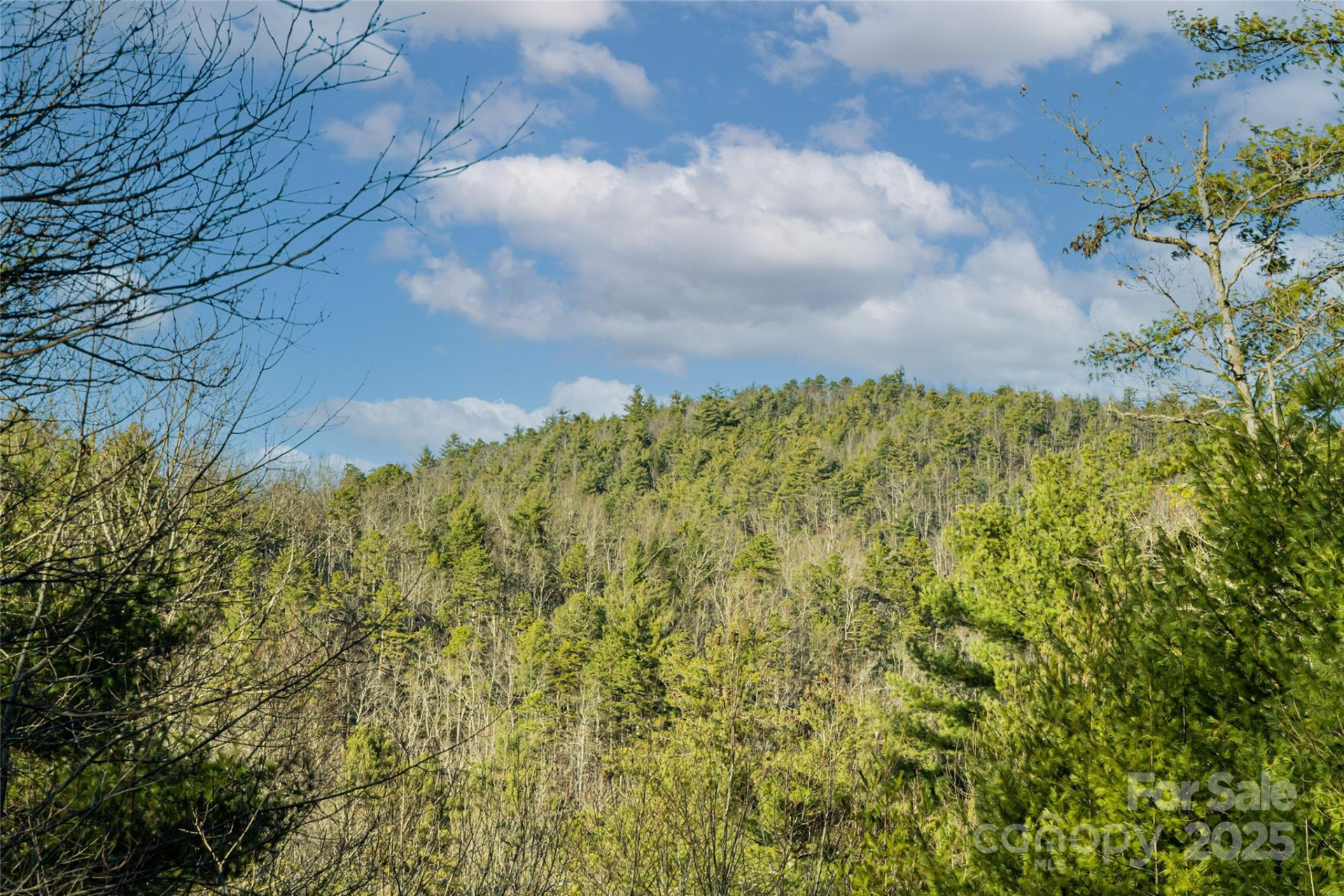 167 Shoal Creek Road #22