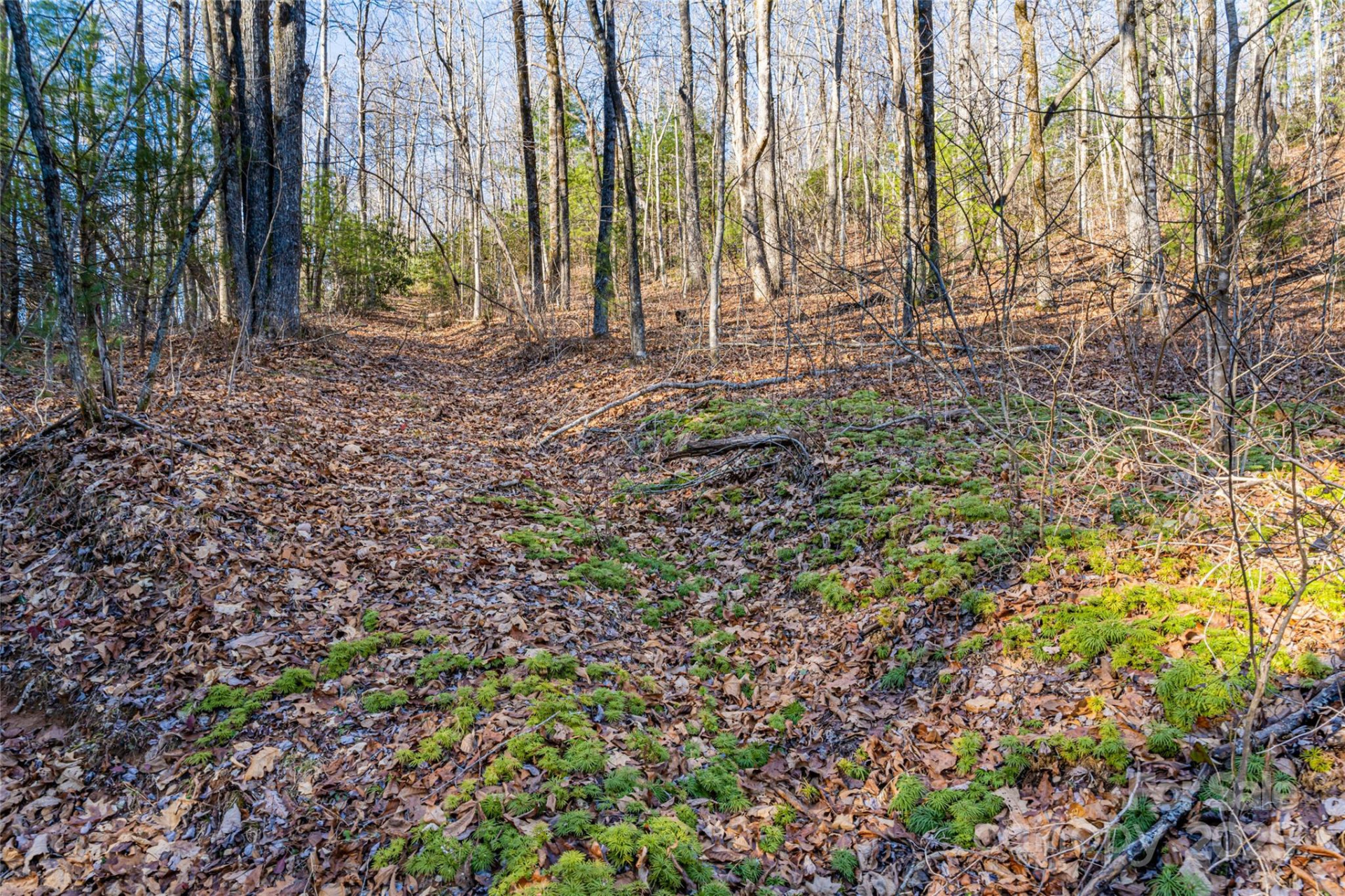 167 Shoal Creek Road #22 - Photo 2