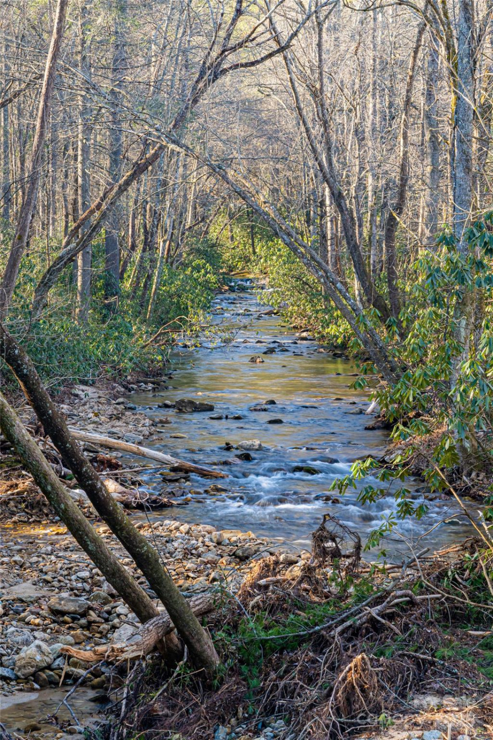 167 Shoal Creek Road #22 - Photo 11