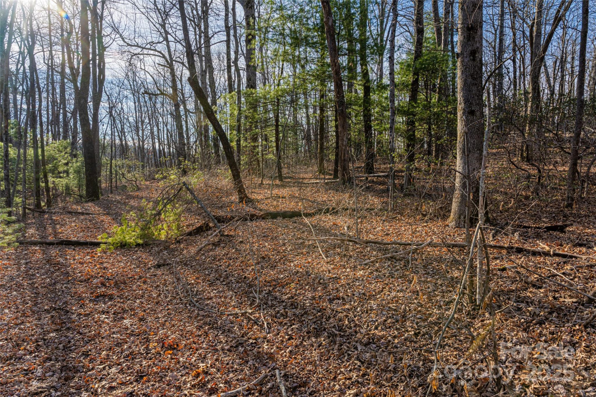 167 Shoal Creek Road #22 - Photo 12