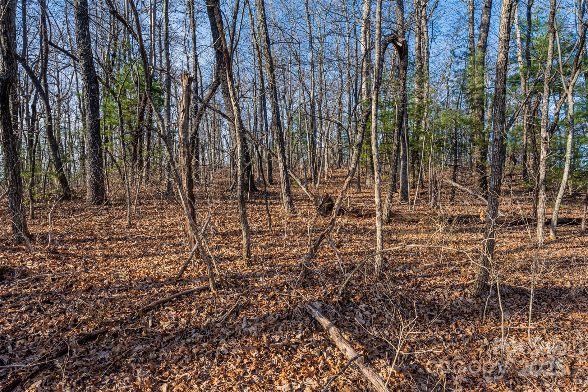 167 Shoal Creek Road #22 - Photo 13