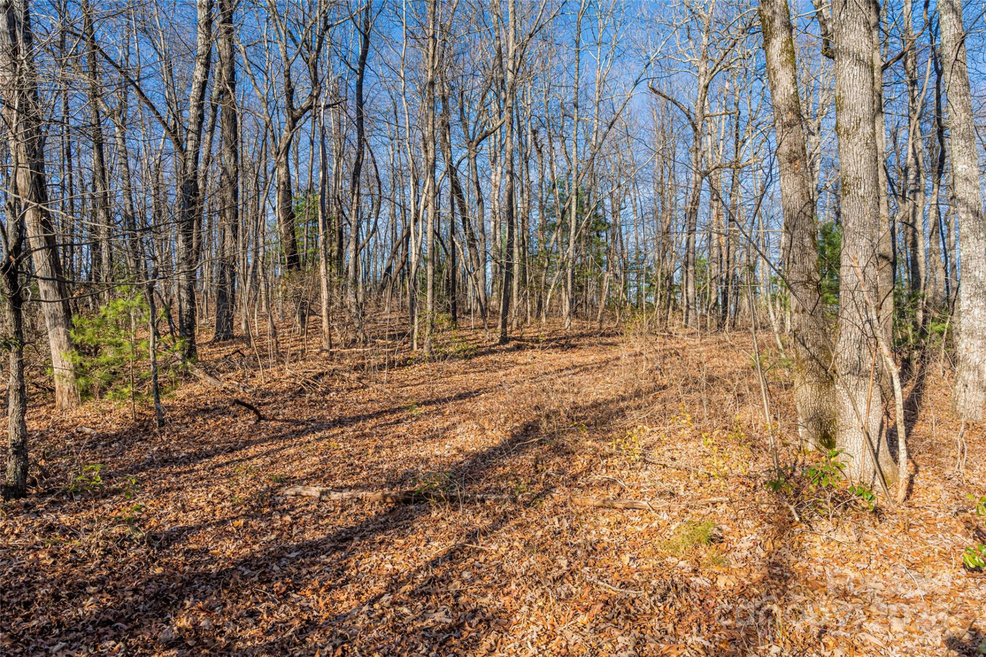 167 Shoal Creek Road #22 - Photo 14