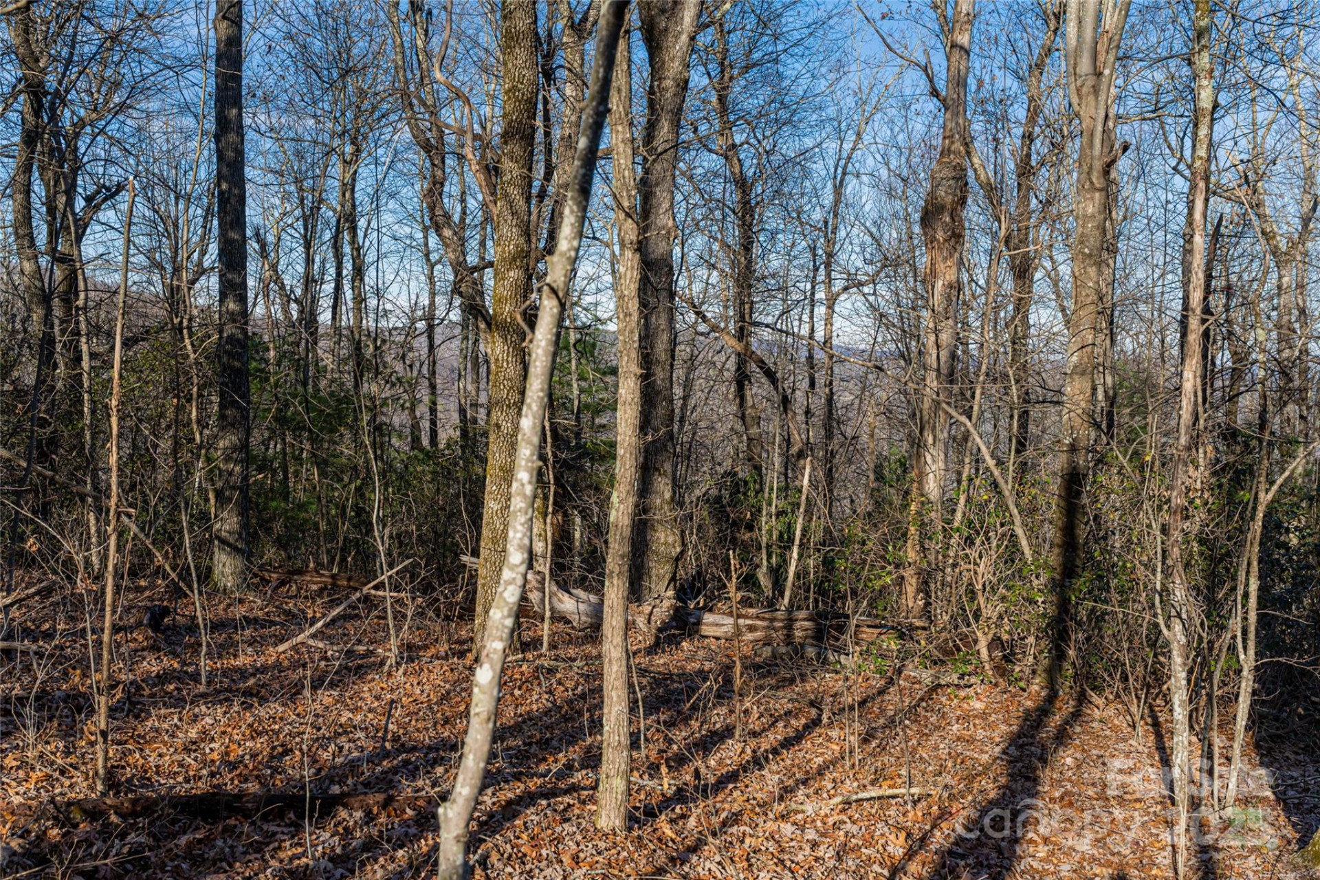 167 Shoal Creek Road #22 - Photo 15