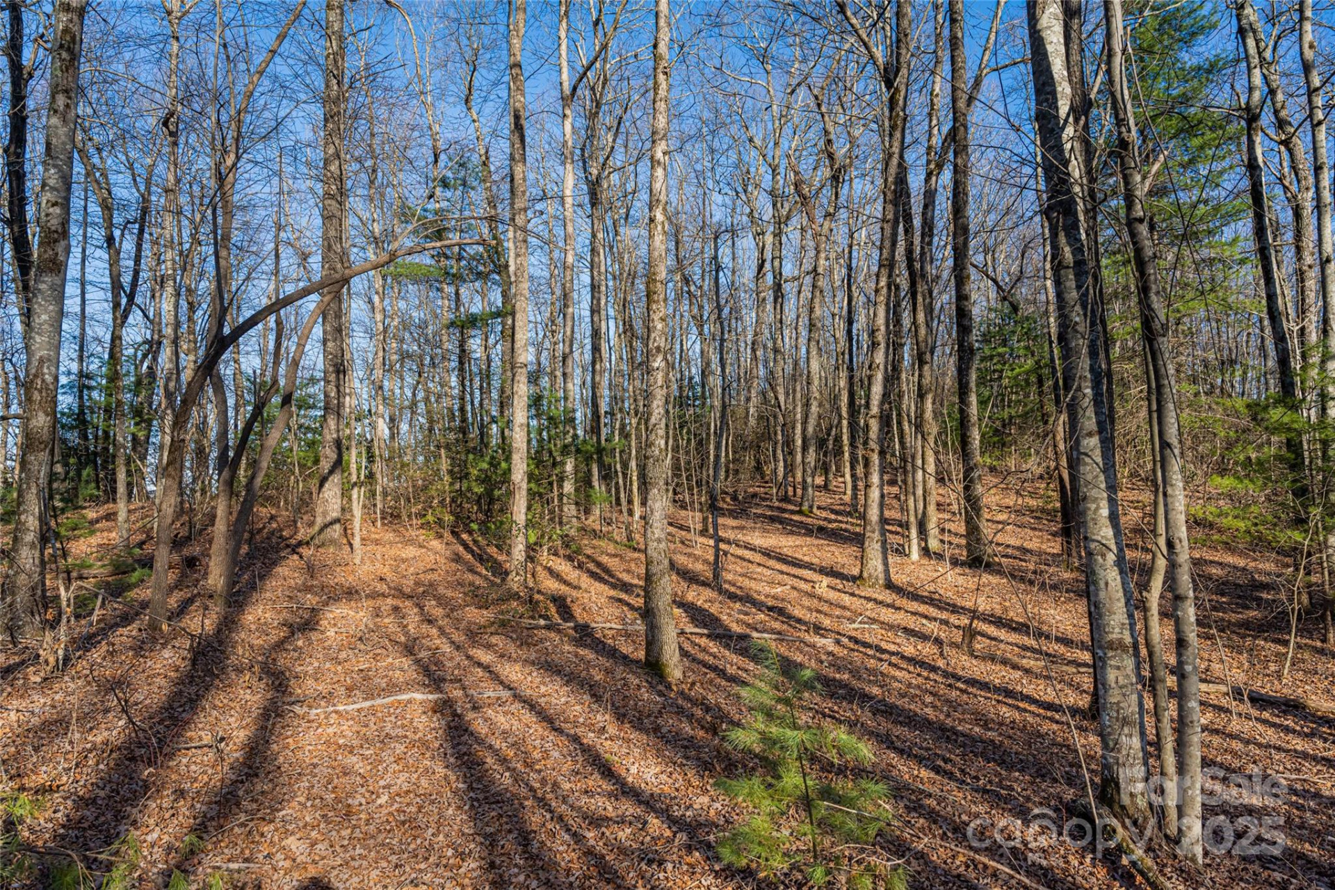 167 Shoal Creek Road #22 - Photo 16