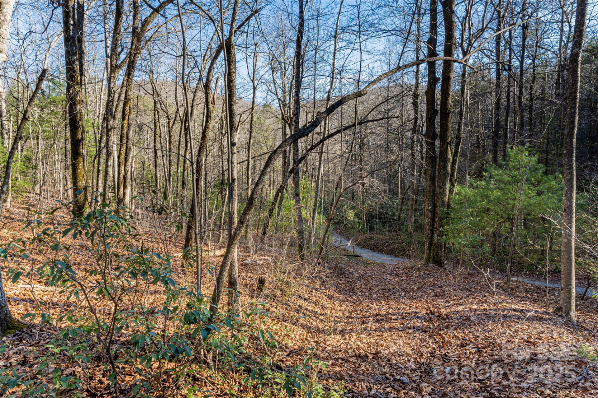 167 Shoal Creek Road #22 - Photo 3