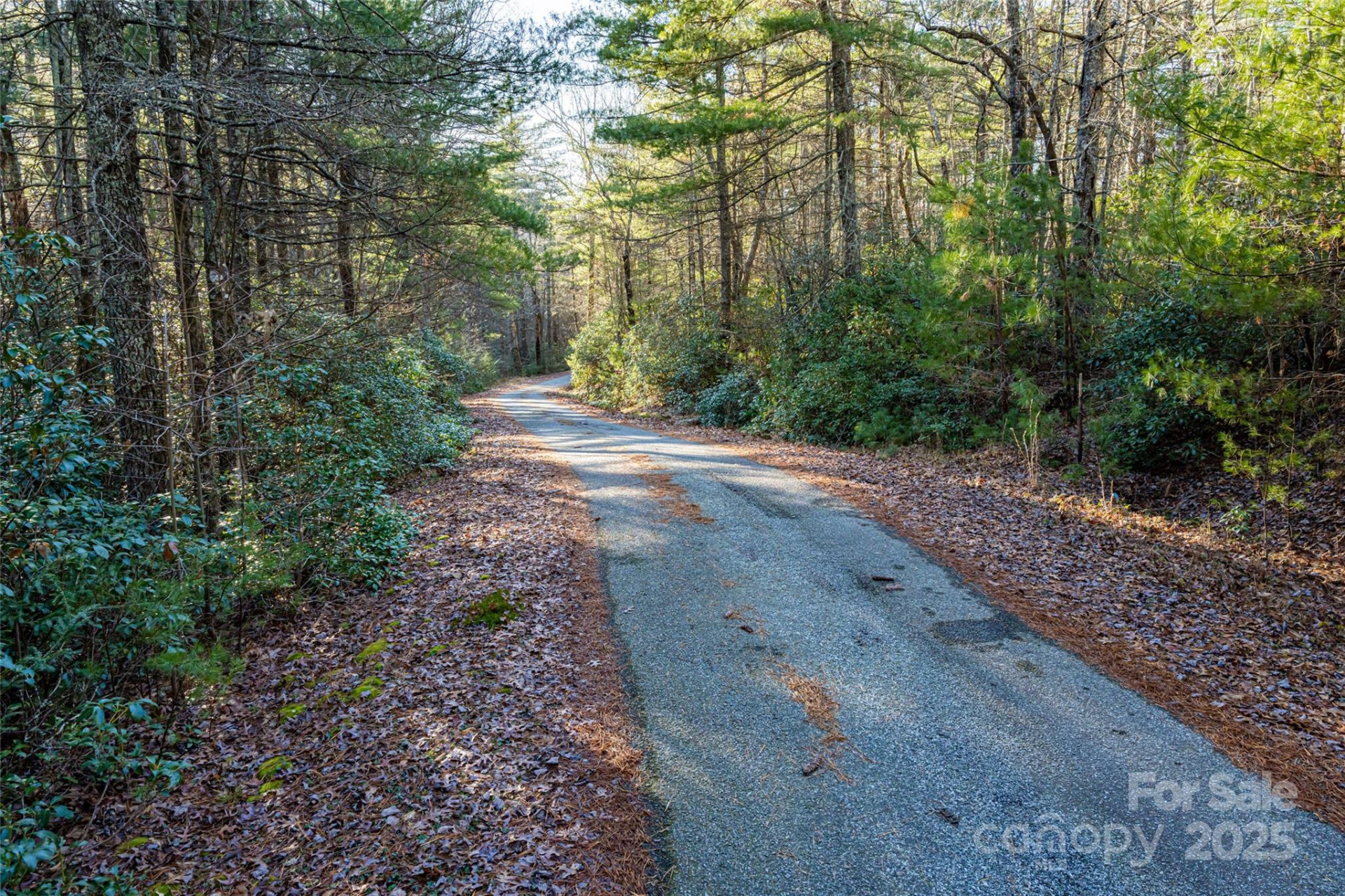 167 Shoal Creek Road #22 - Photo 5