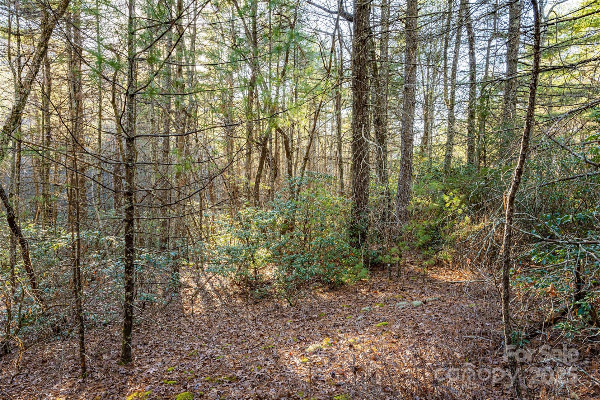 167 Shoal Creek Road #22 - Photo 6