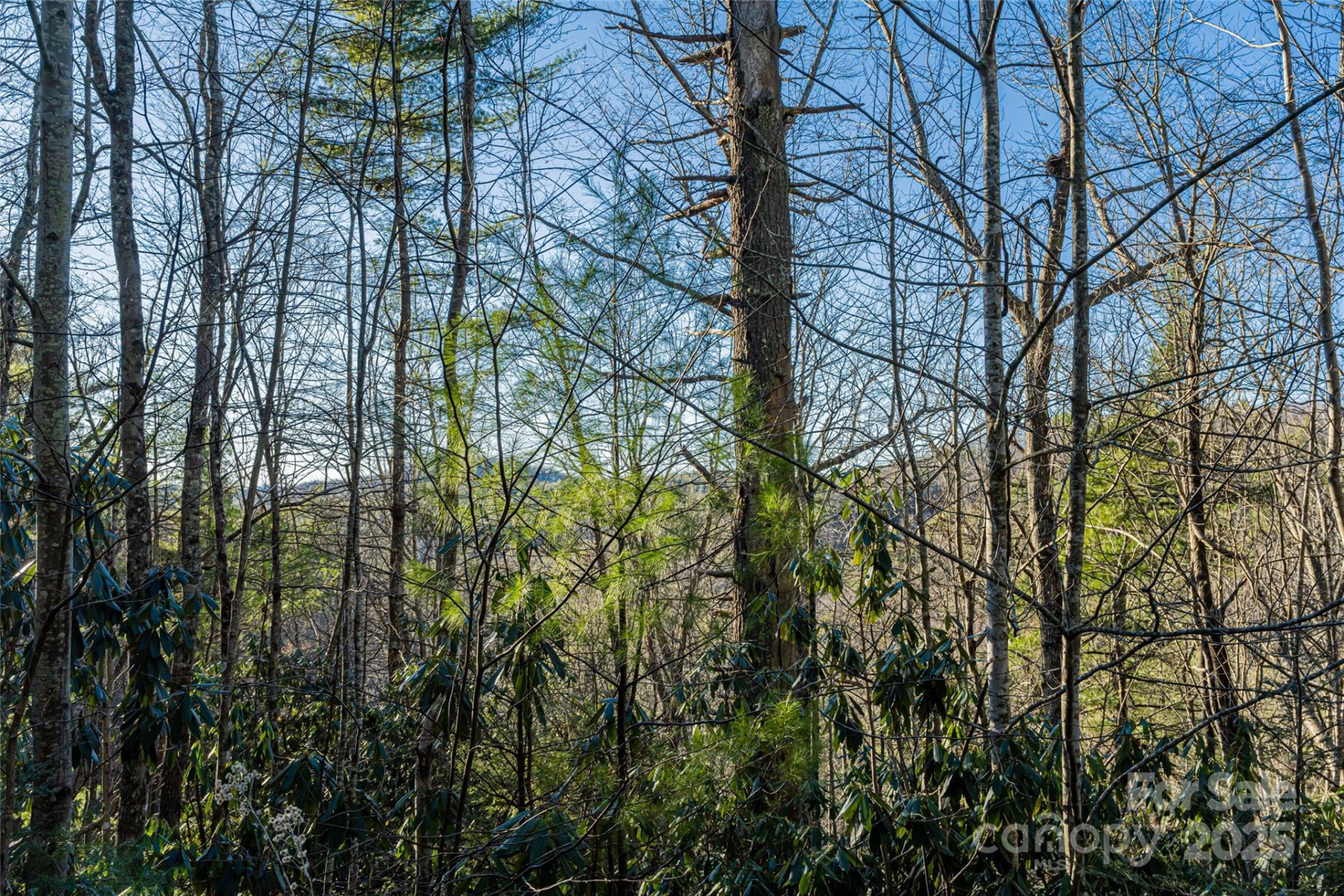 167 Shoal Creek Road #22 - Photo 7