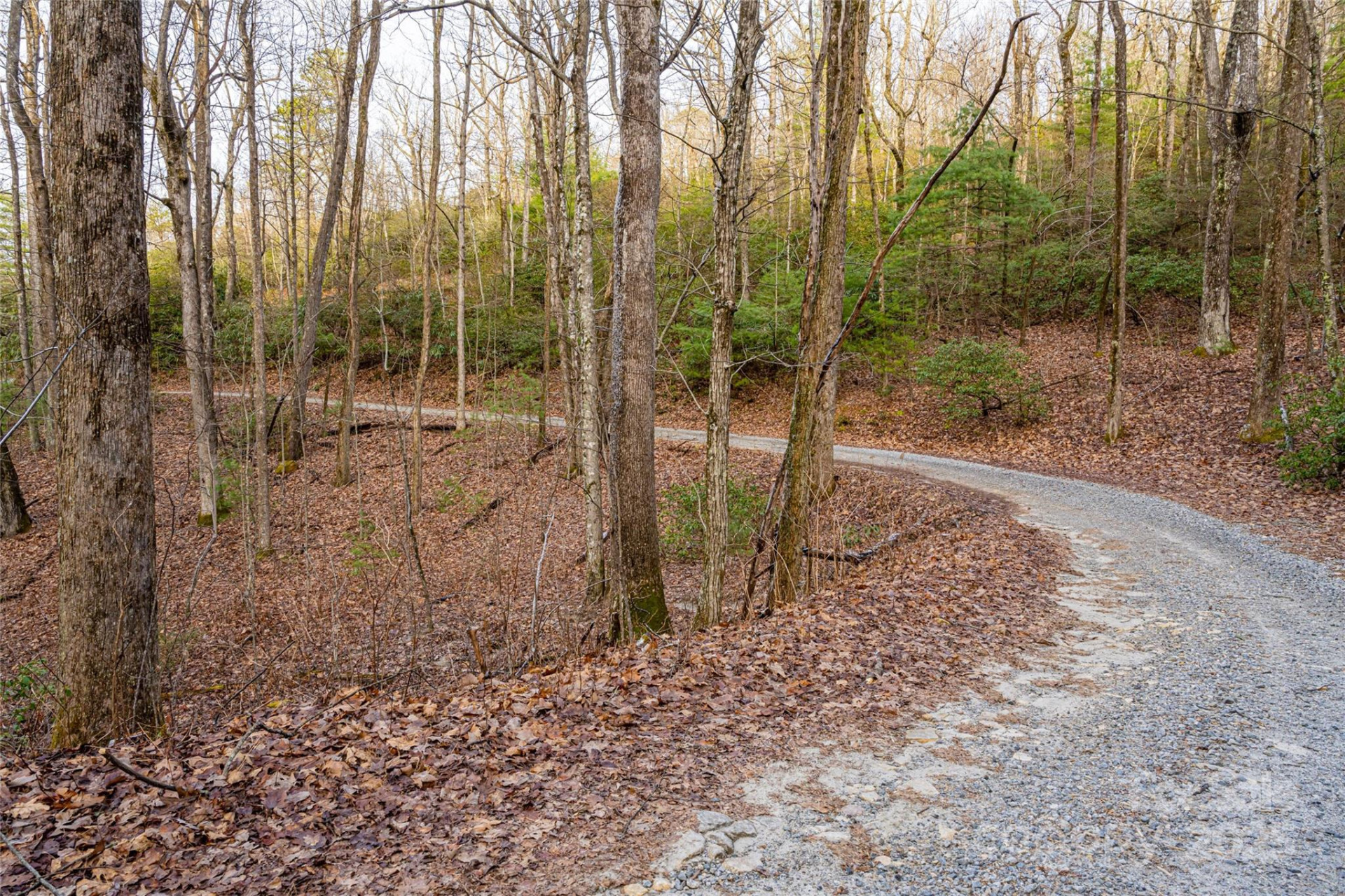 167 Shoal Creek Road #22 - Photo 8