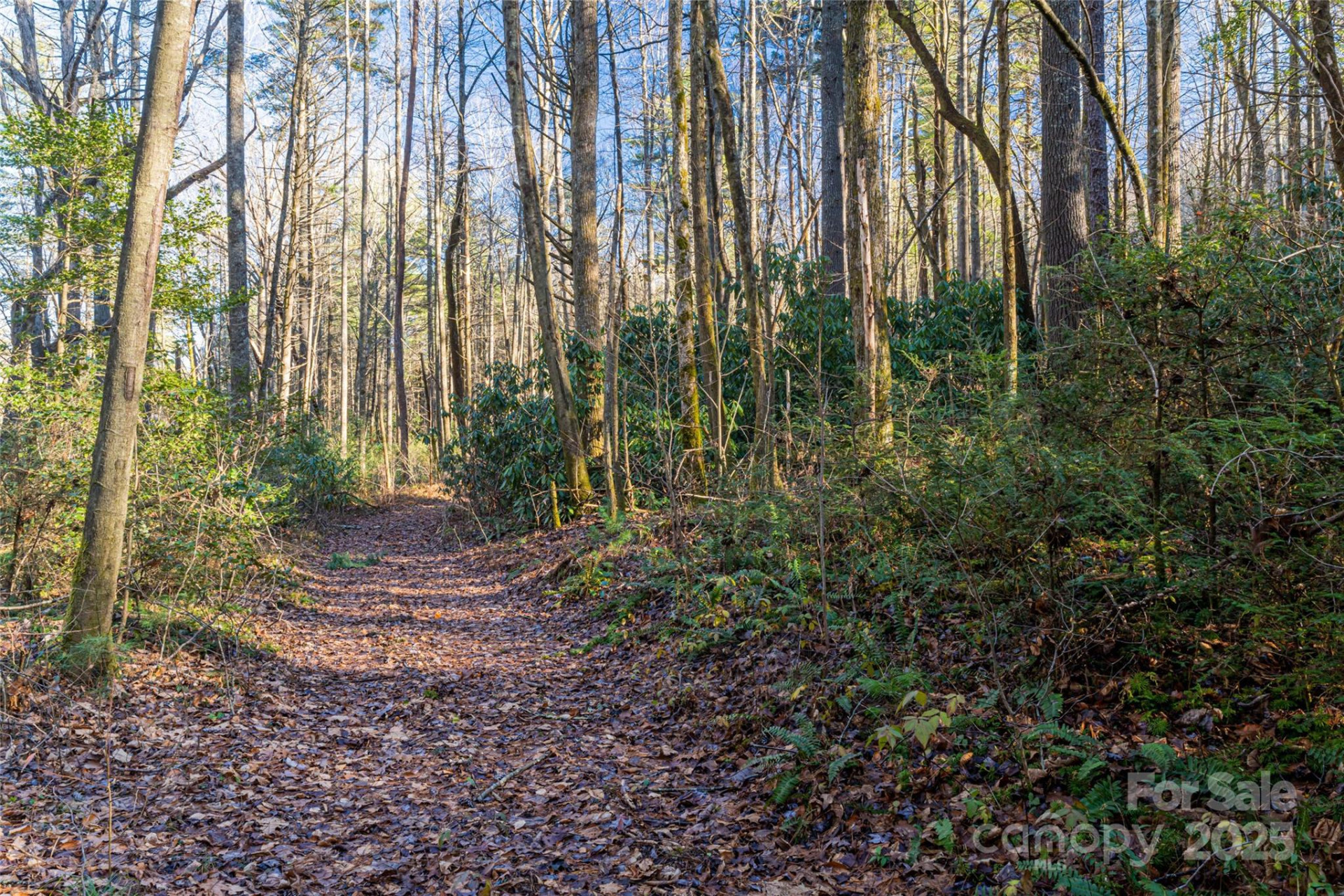 167 Shoal Creek Road #22 - Photo 10