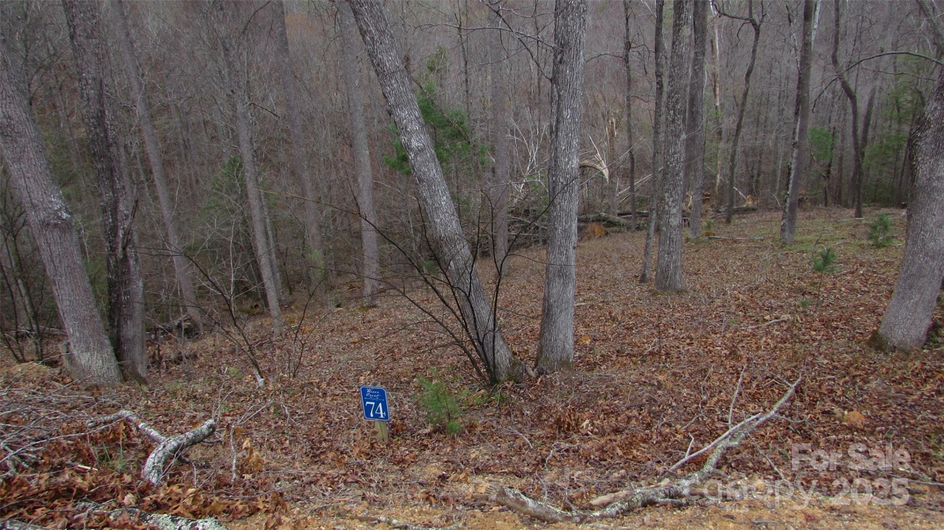 #74 Falling Water Drive - Photo 2