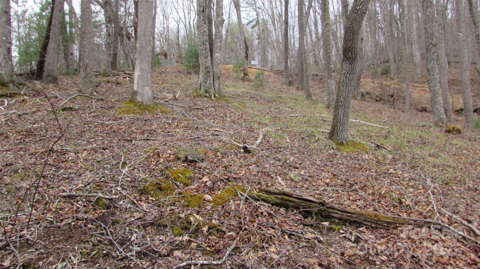 #74 Falling Water Drive - Photo 11