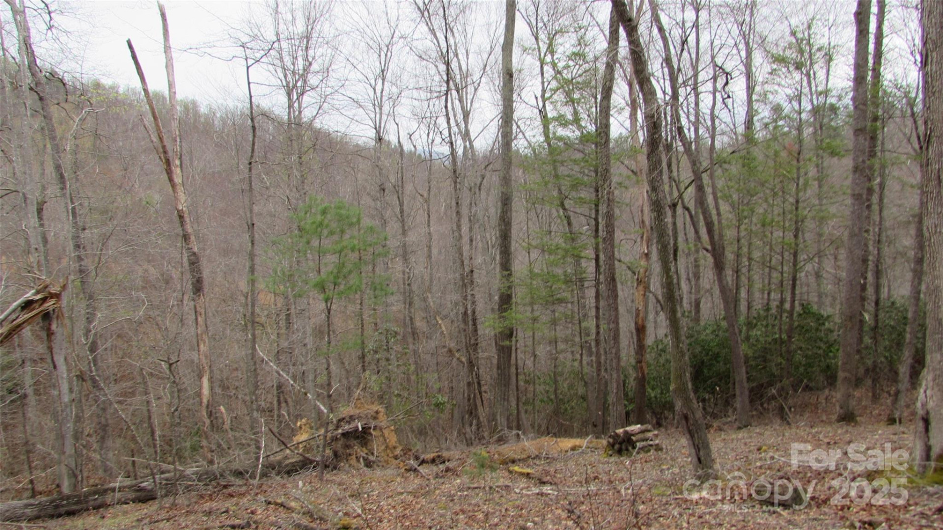 #74 Falling Water Drive - Photo 12