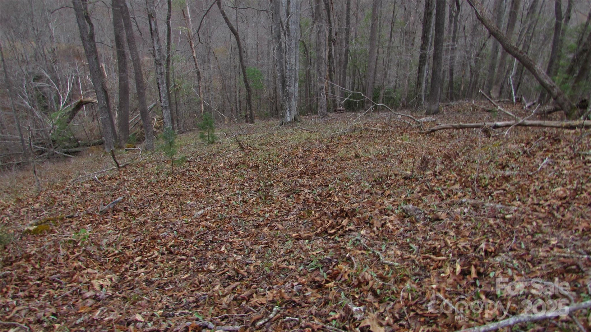 #74 Falling Water Drive - Photo 13